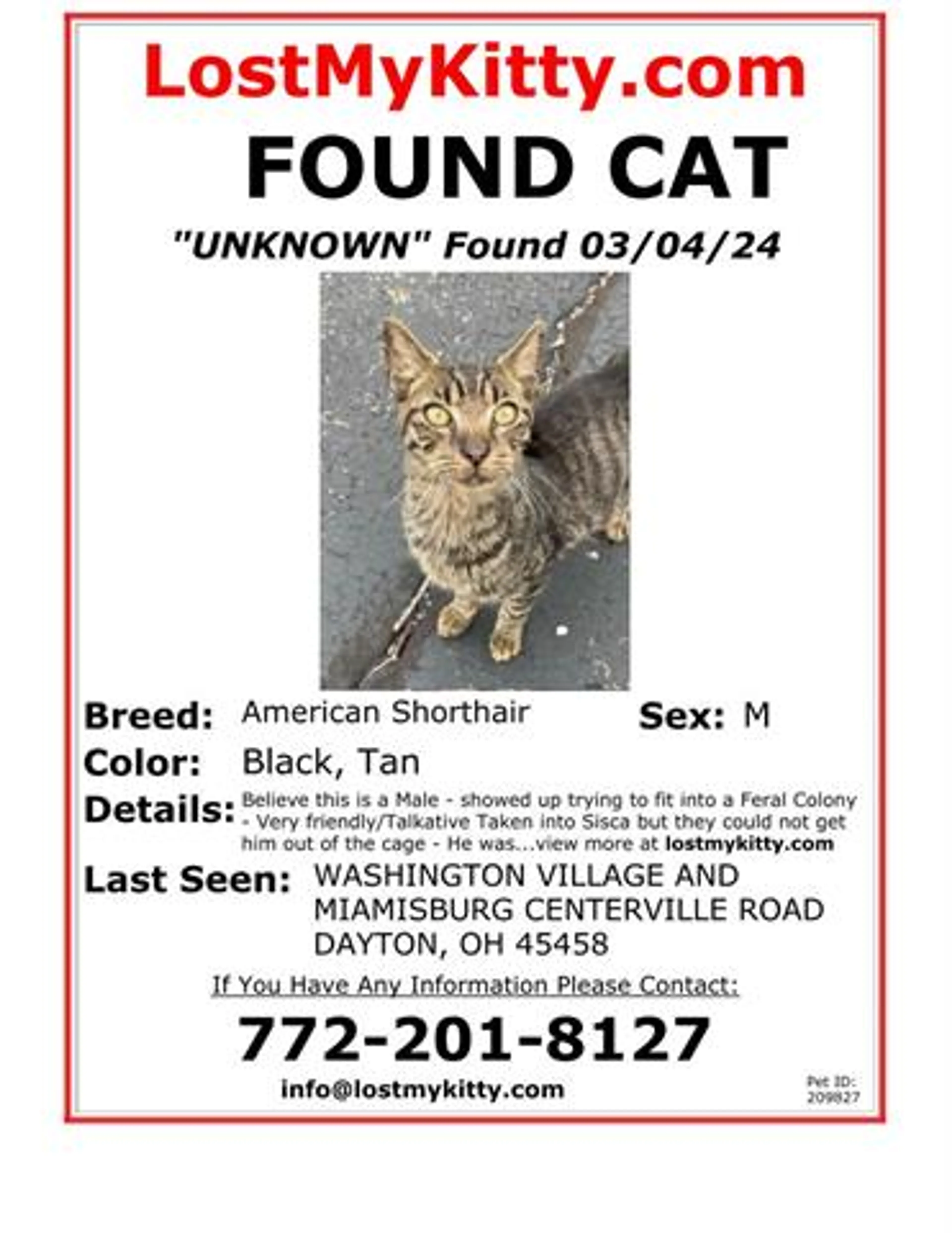Found pet