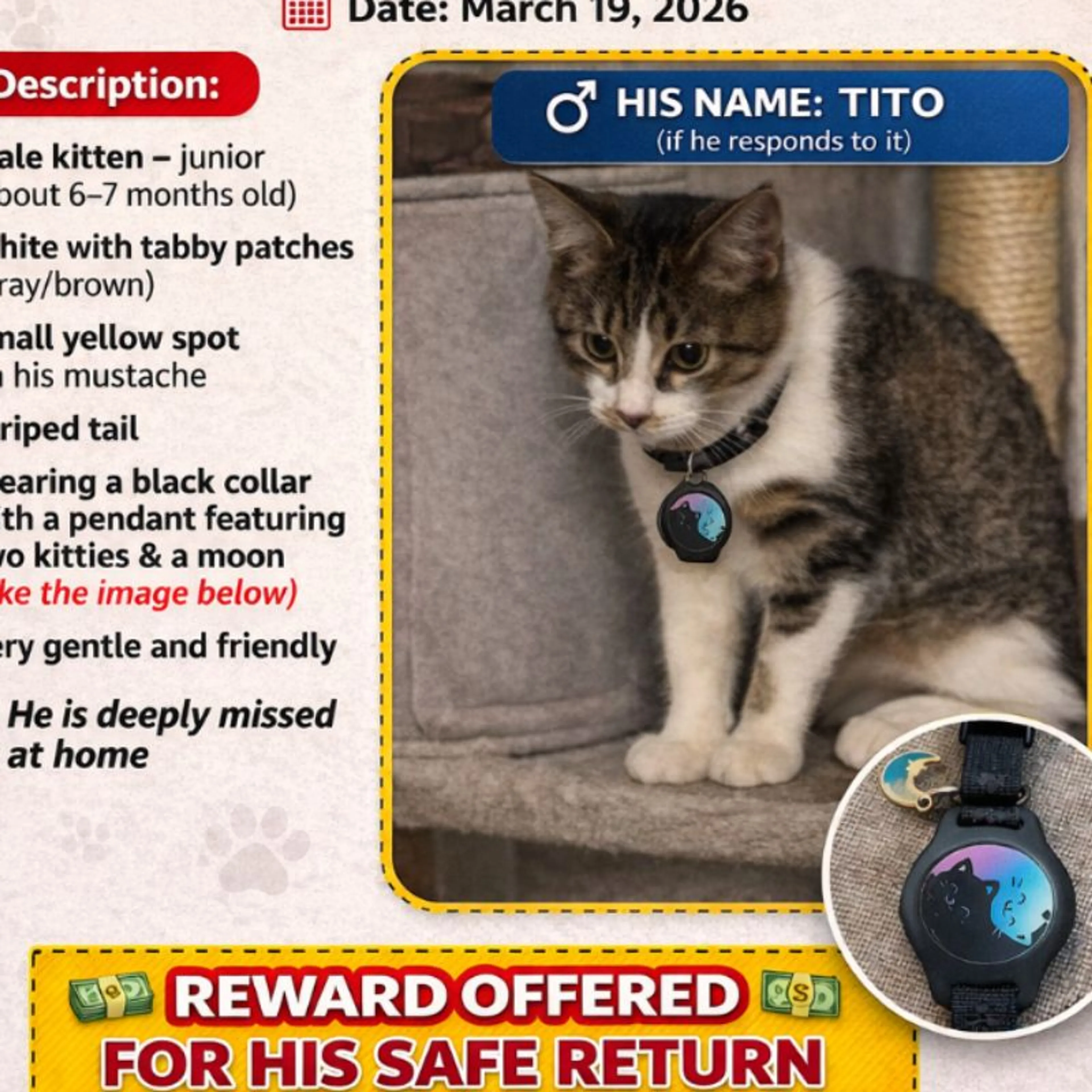 Lost pet