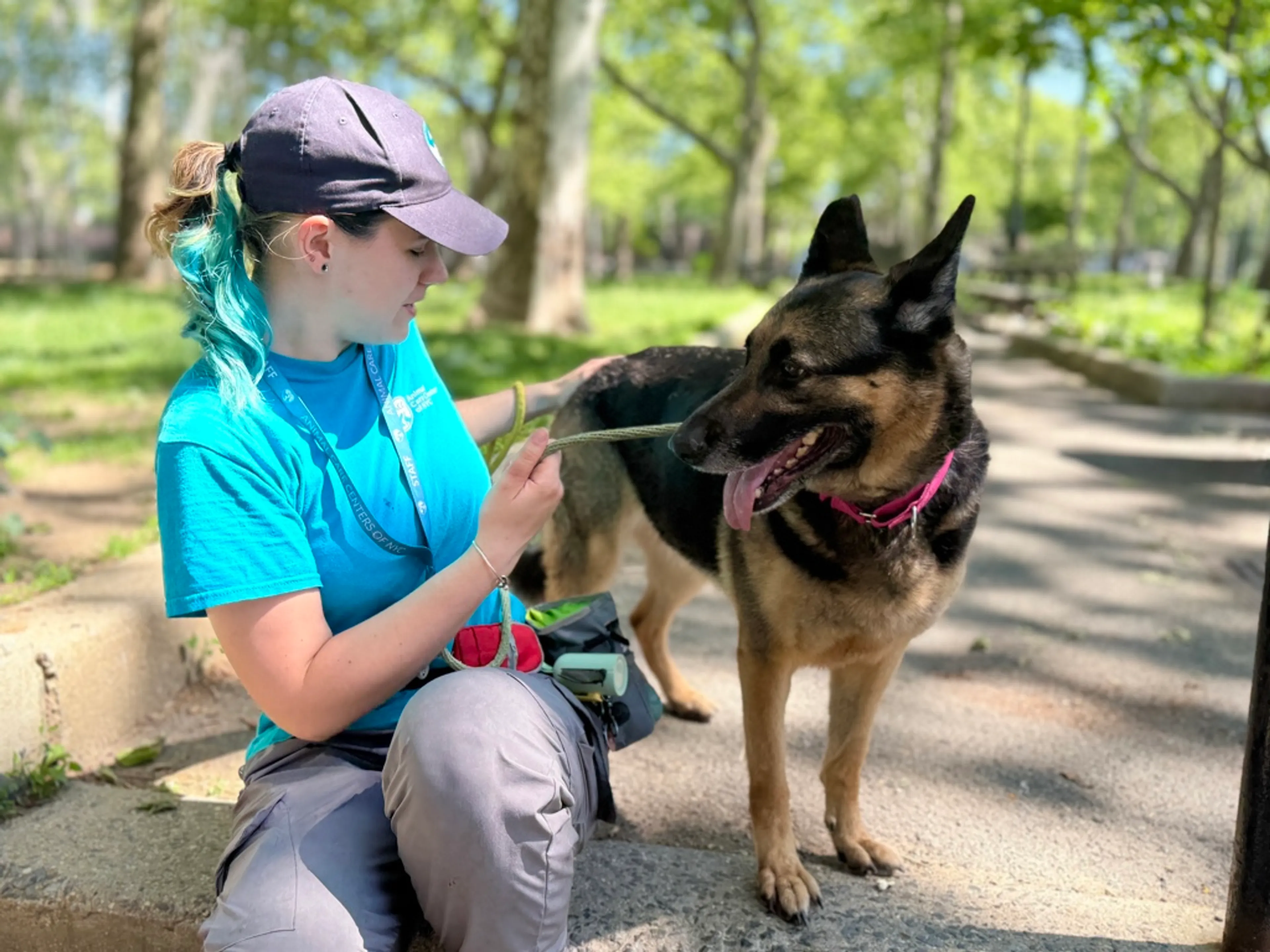 Found pet-5