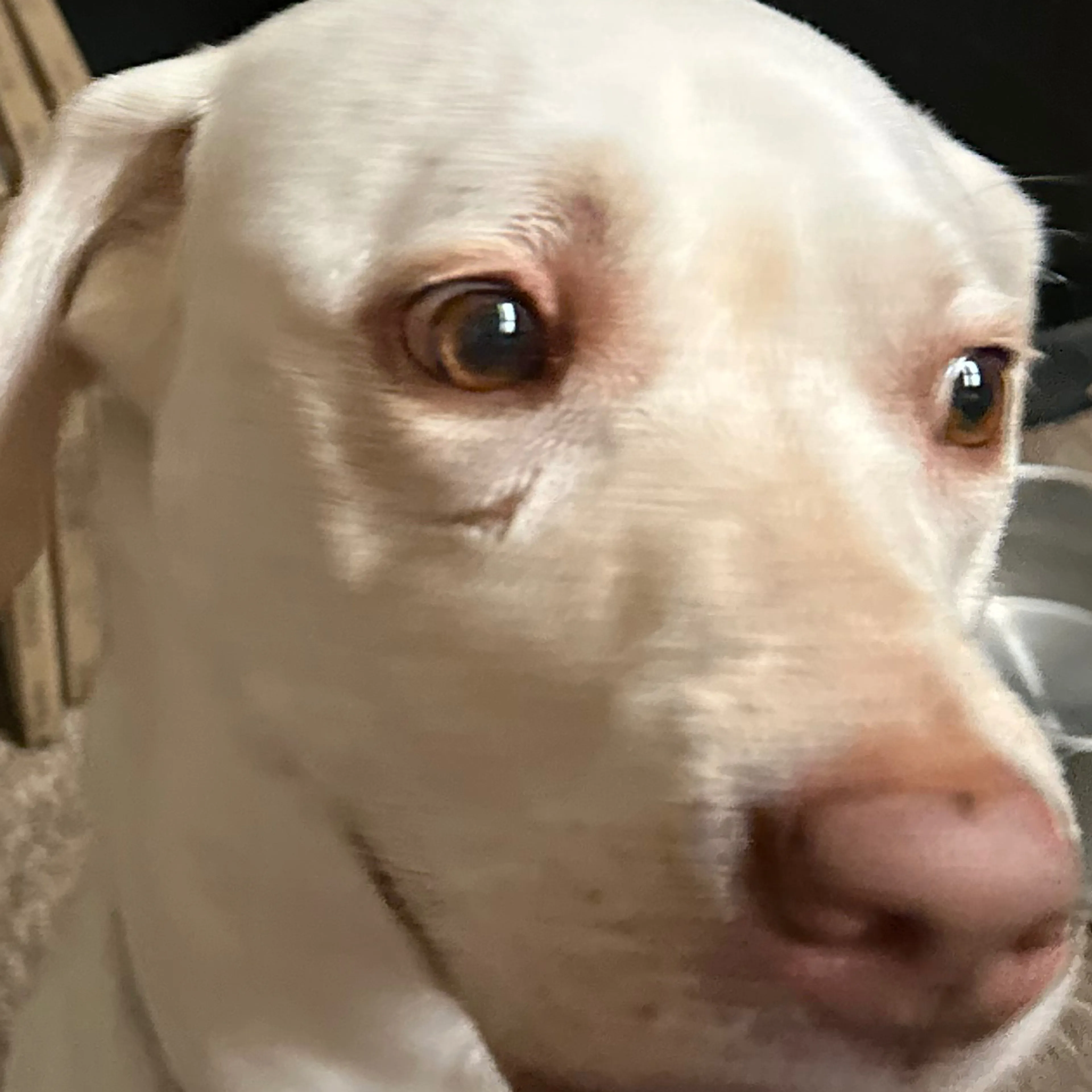 -3