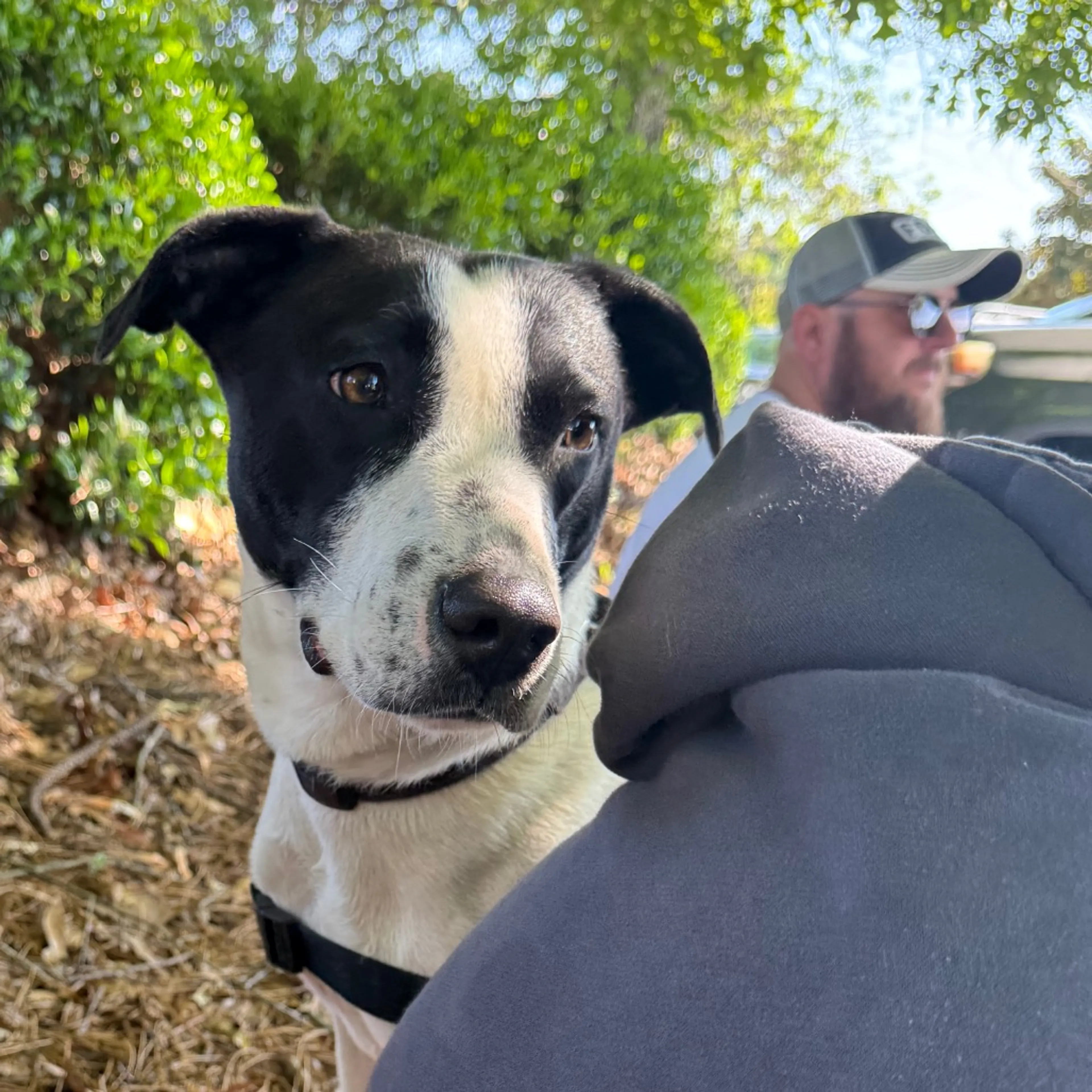 -11