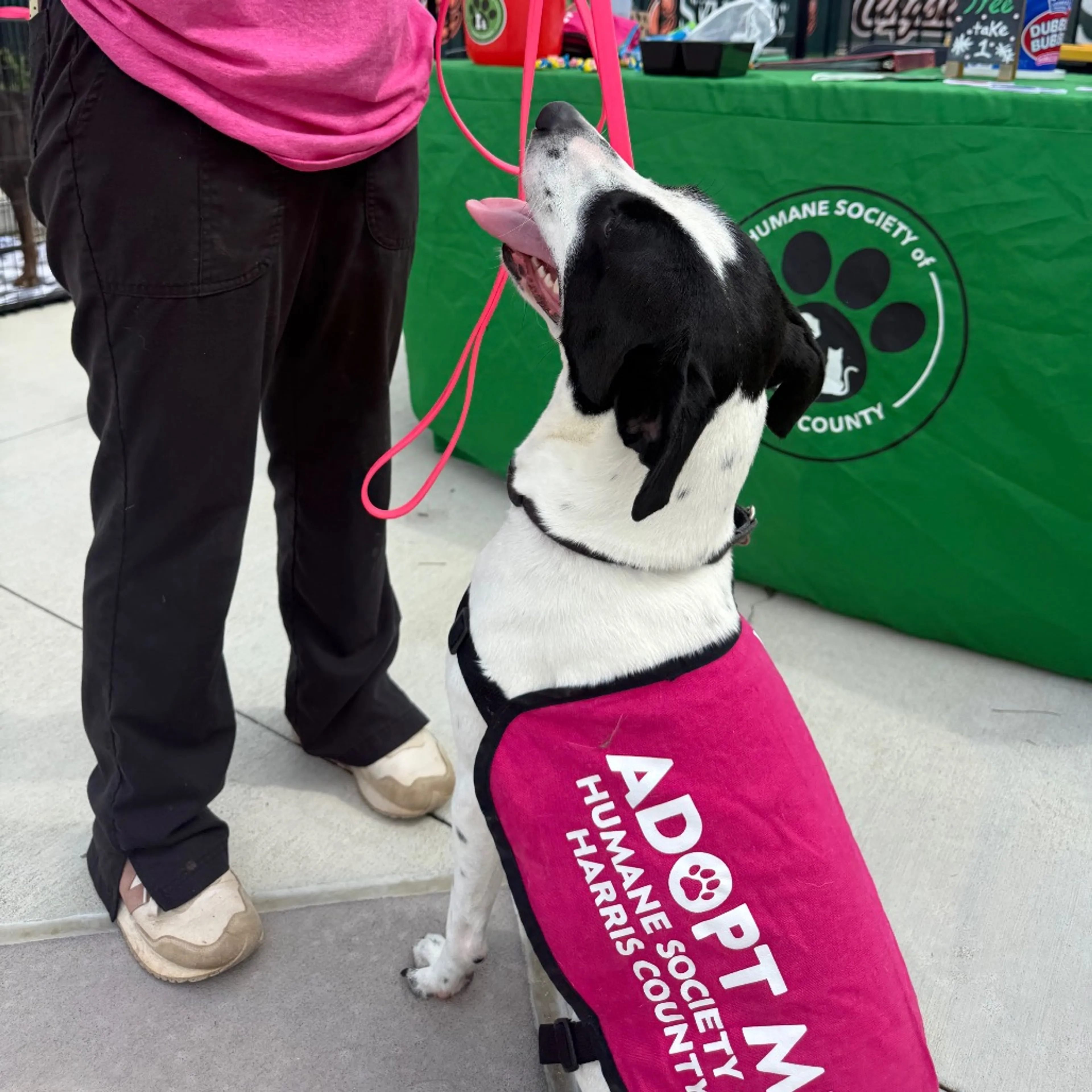 -24