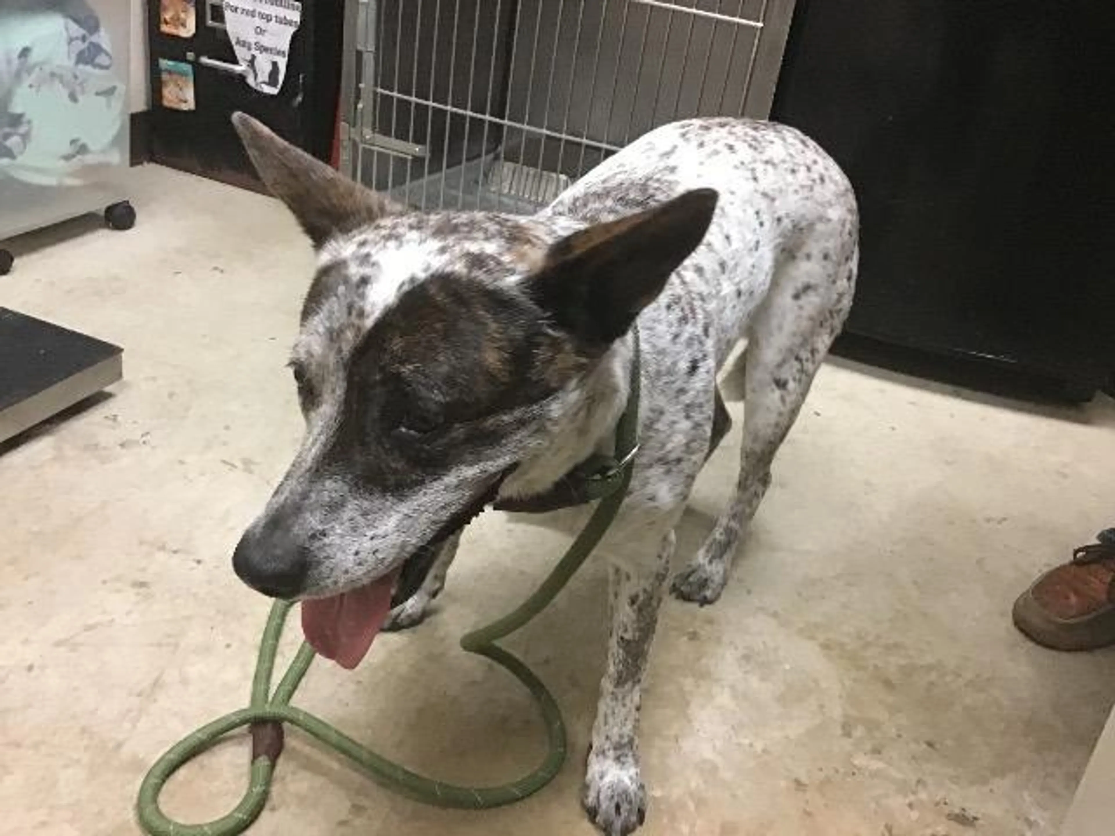 -5
