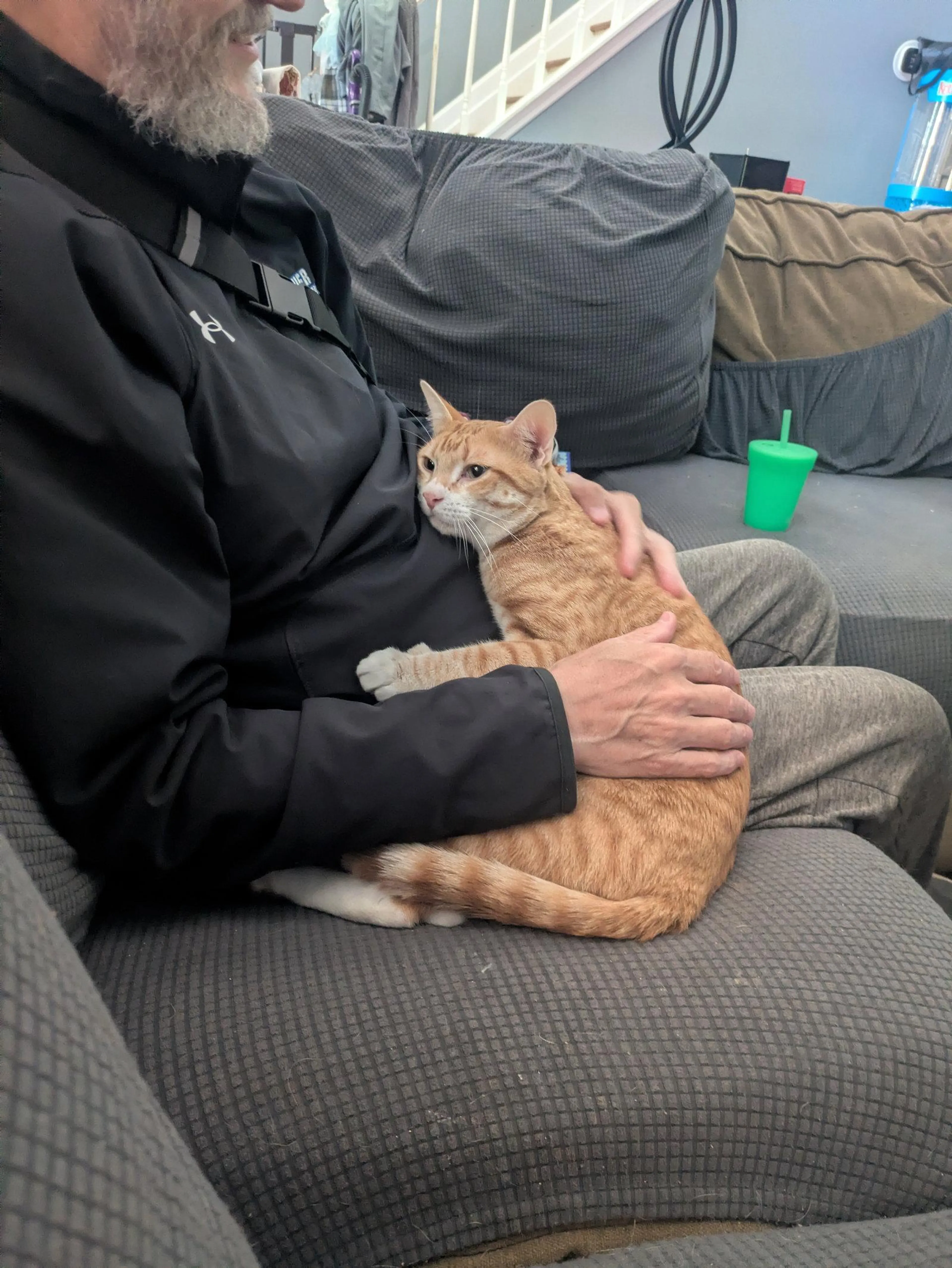 Found pet-0