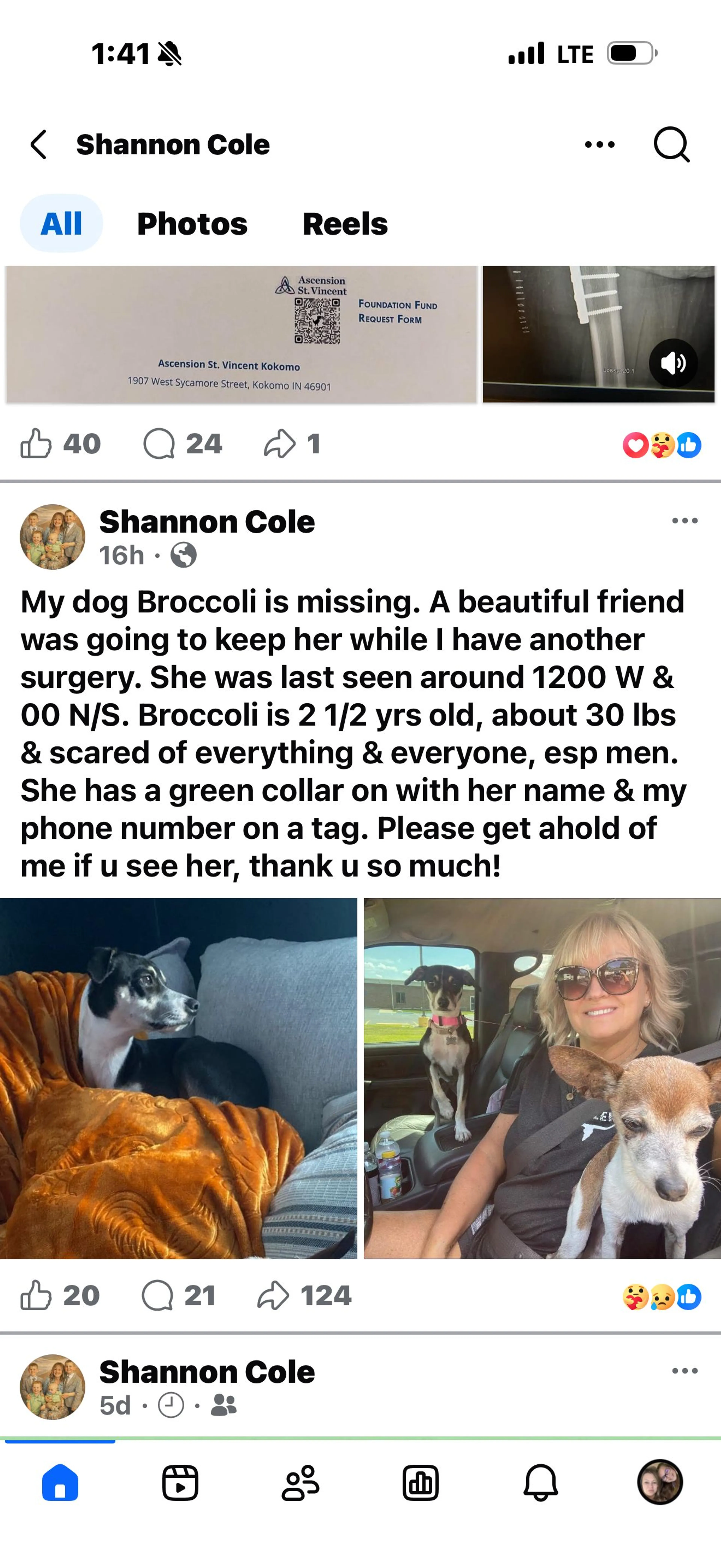 Lost pet-2
