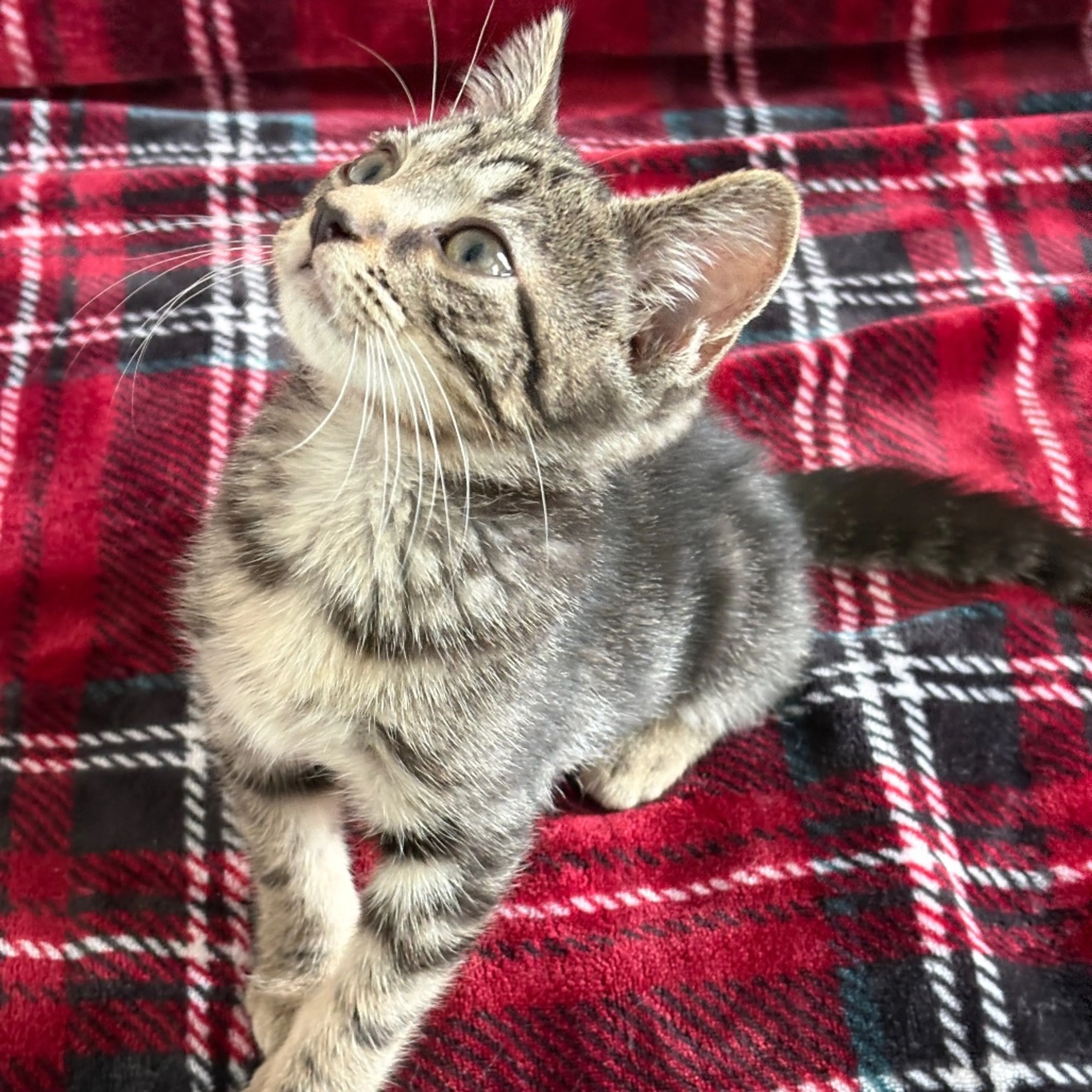 -15