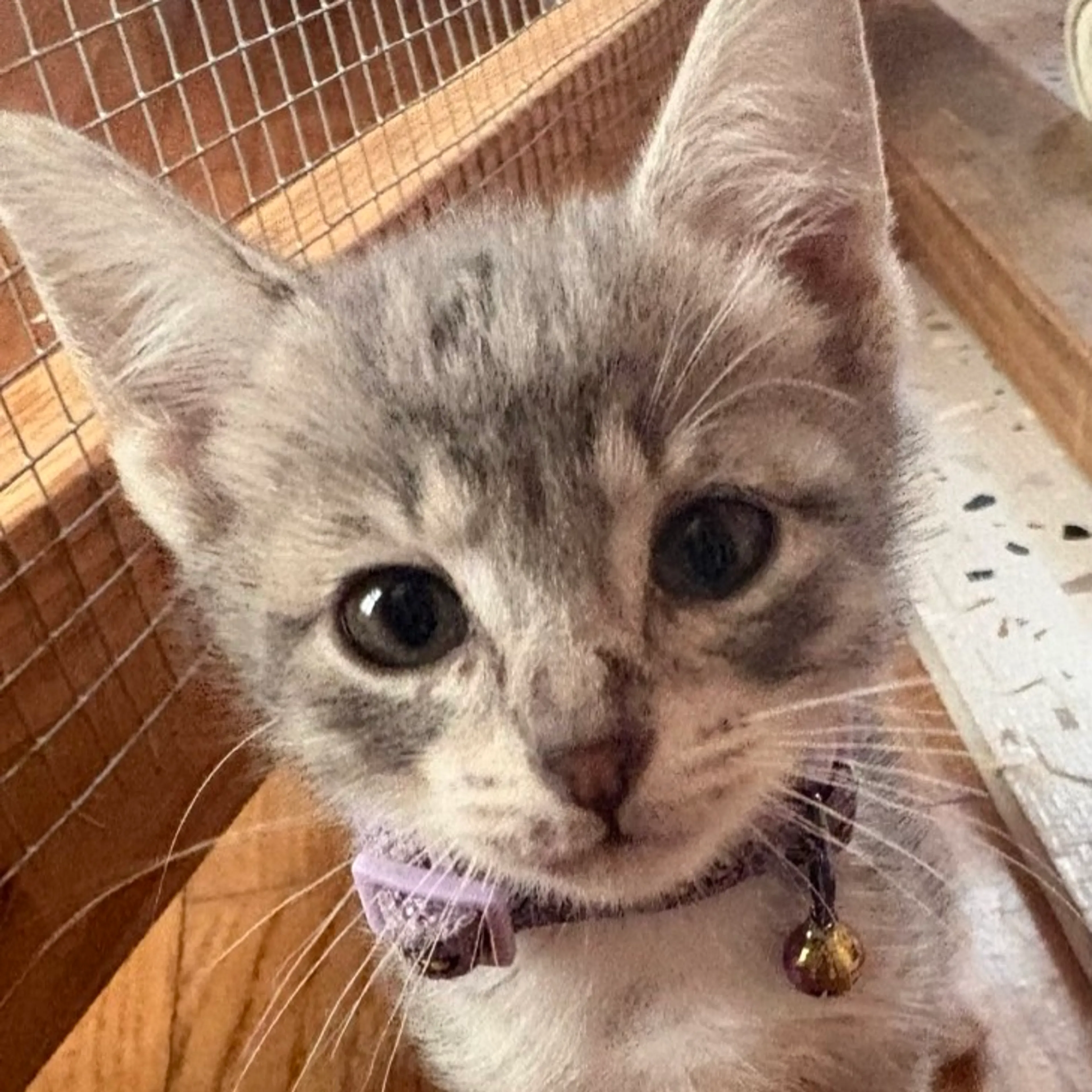 -1