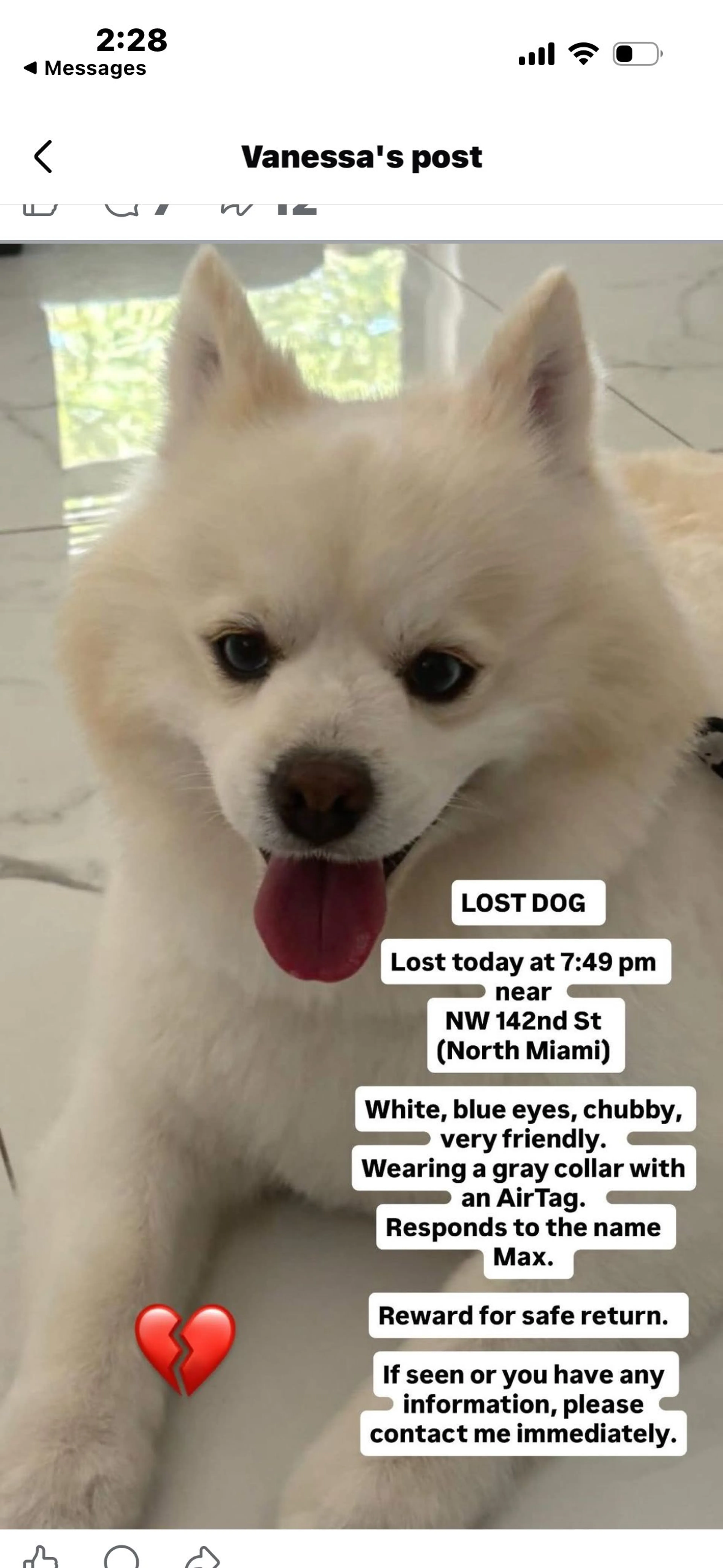 Lost pet-0