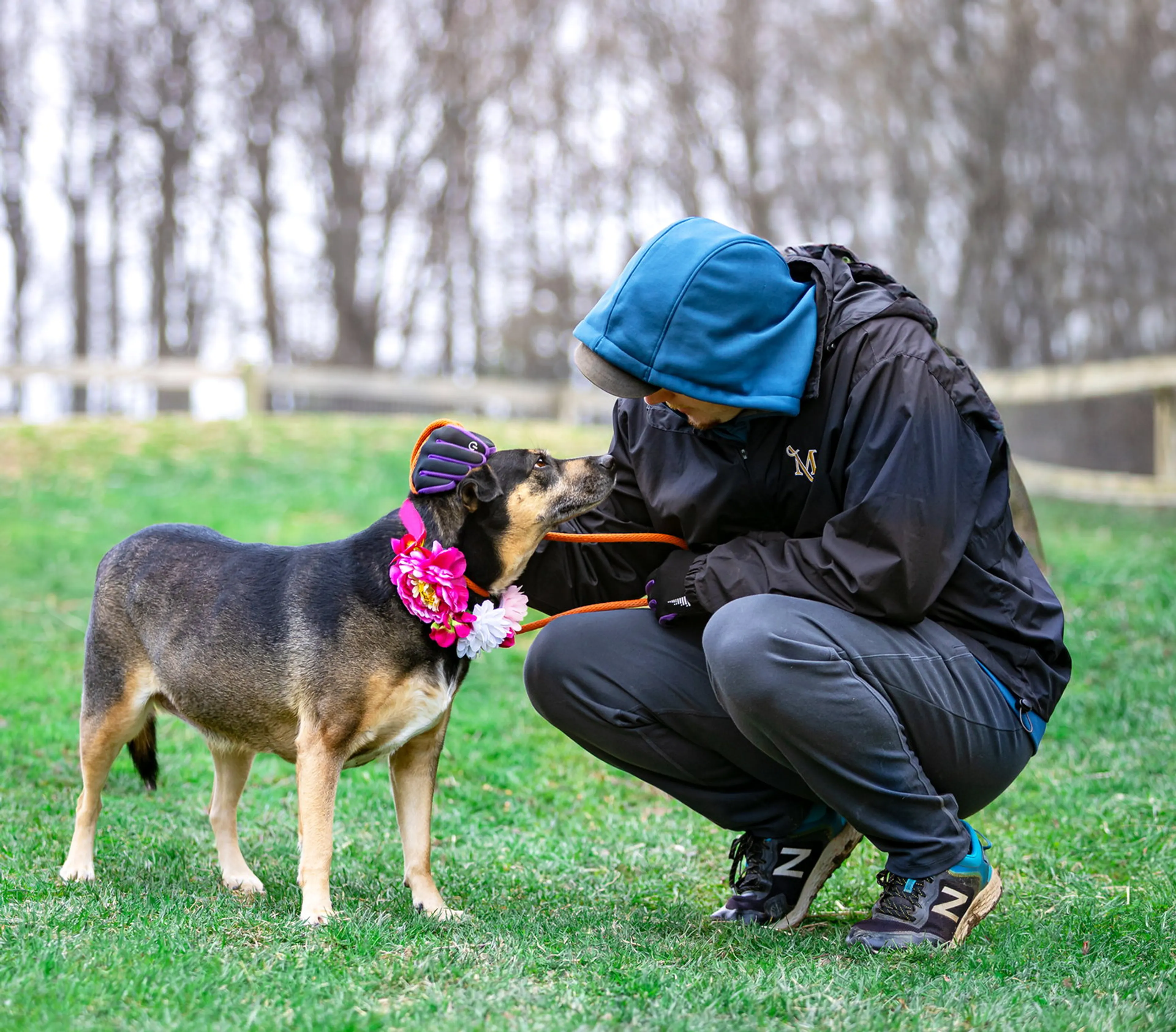 Found pet-2