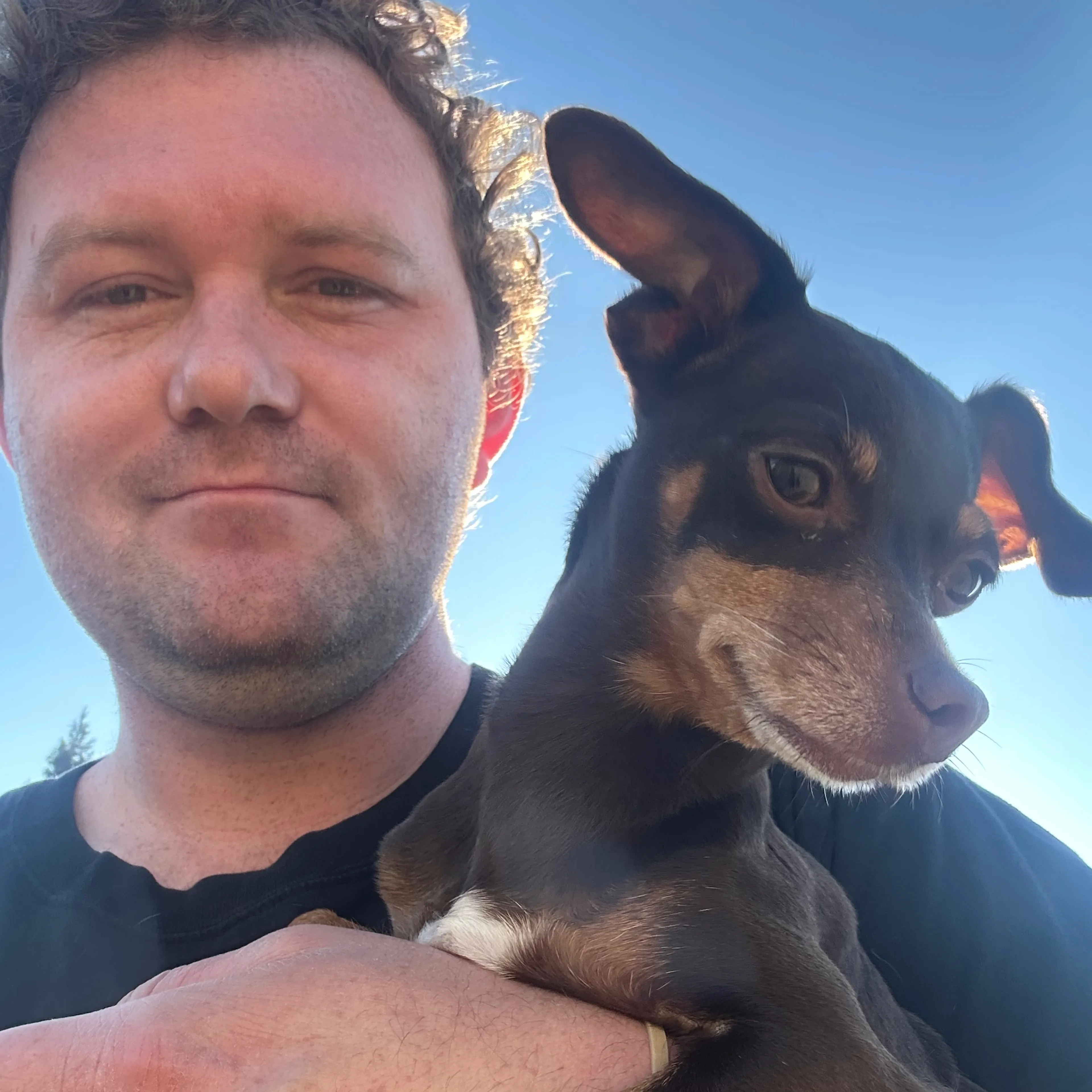 Lost pet-1