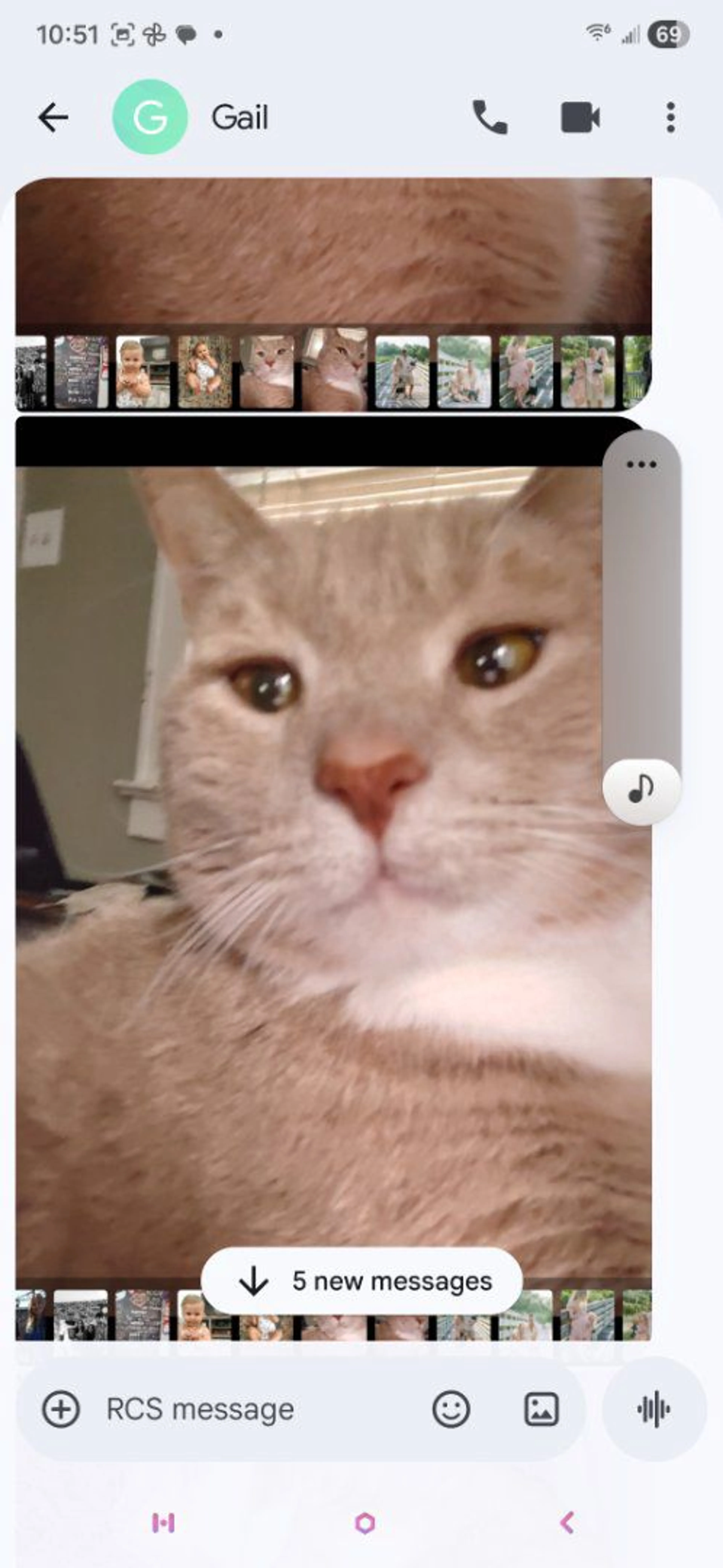 Lost pet-0