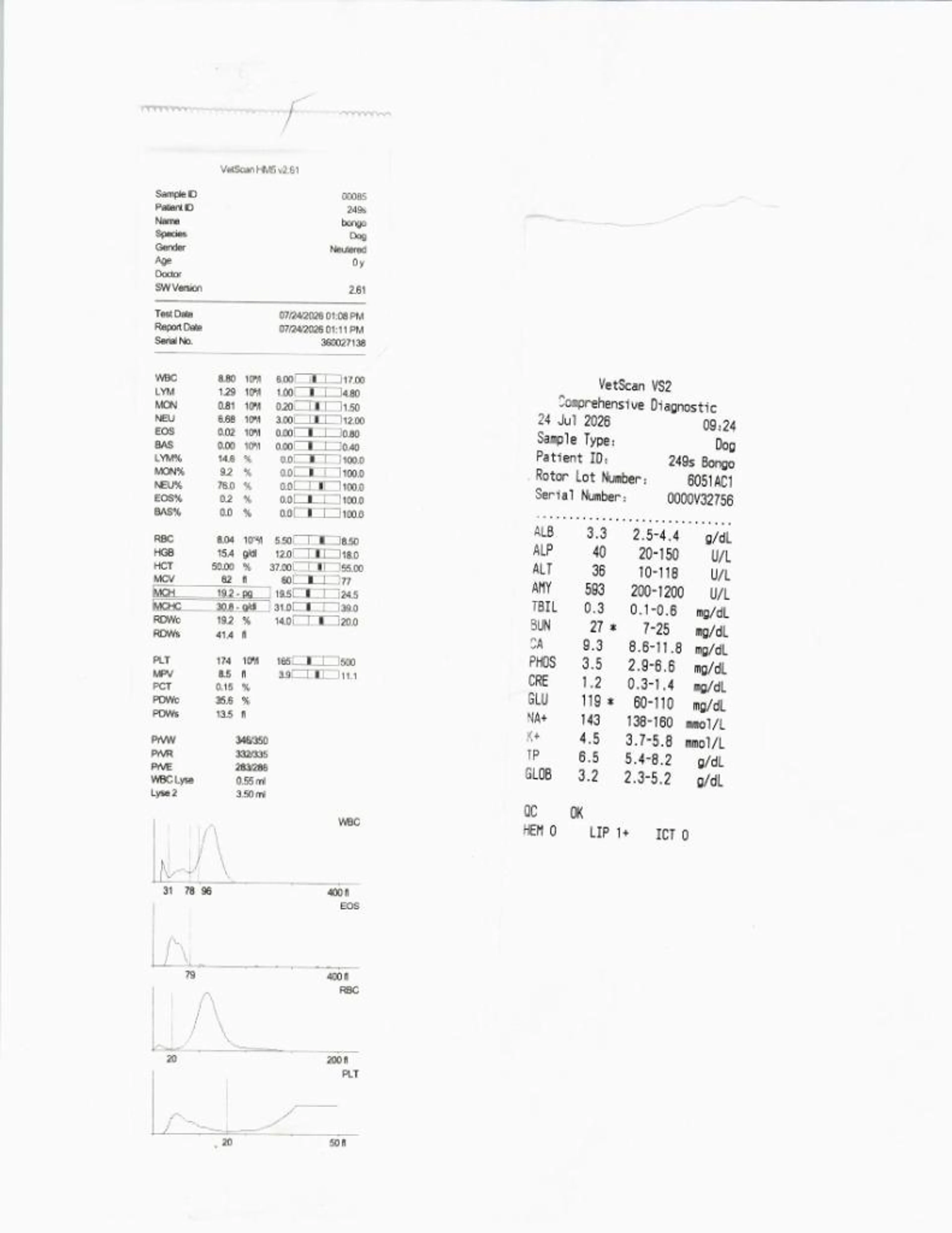 cdn image