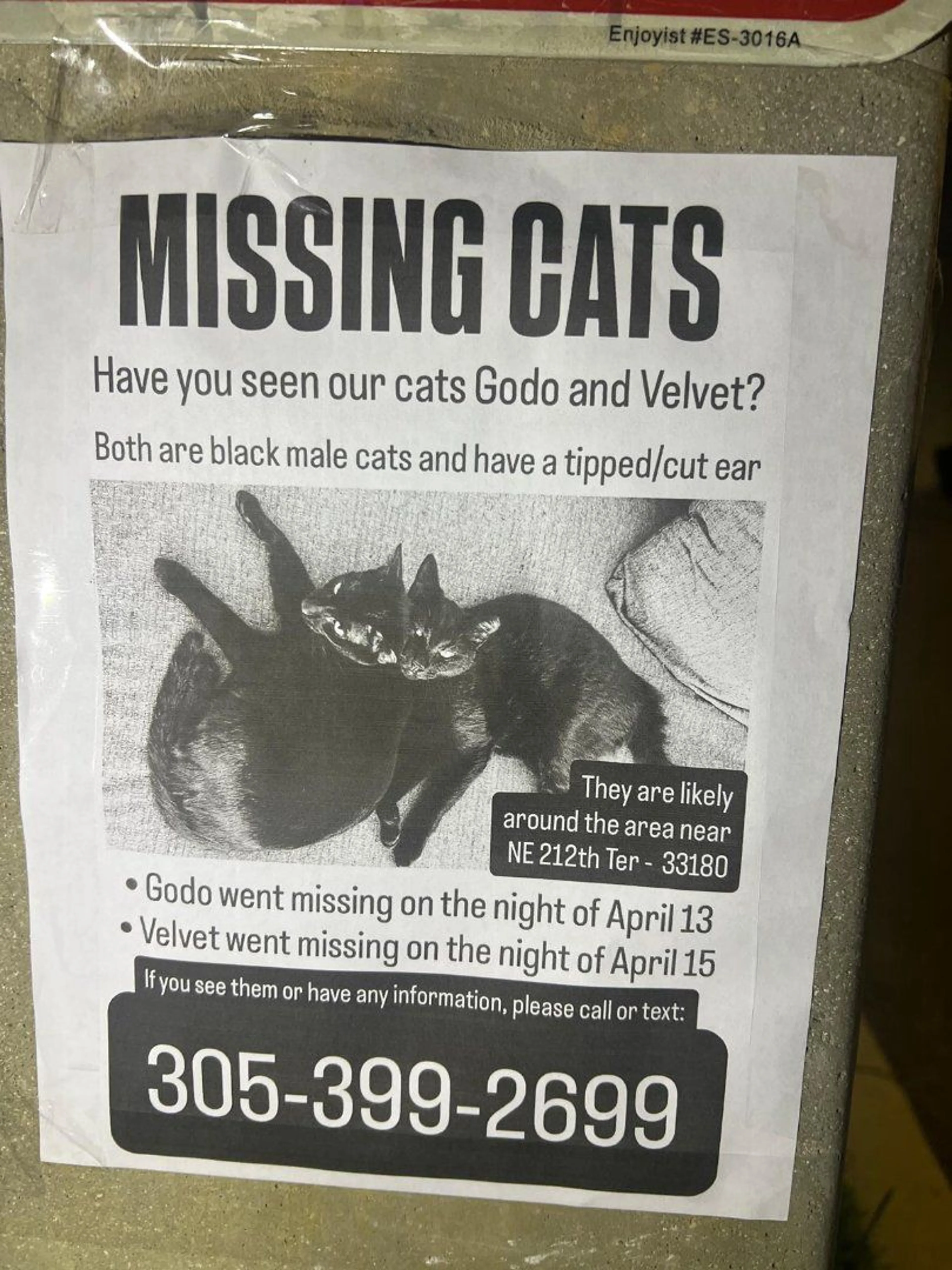 Lost pet