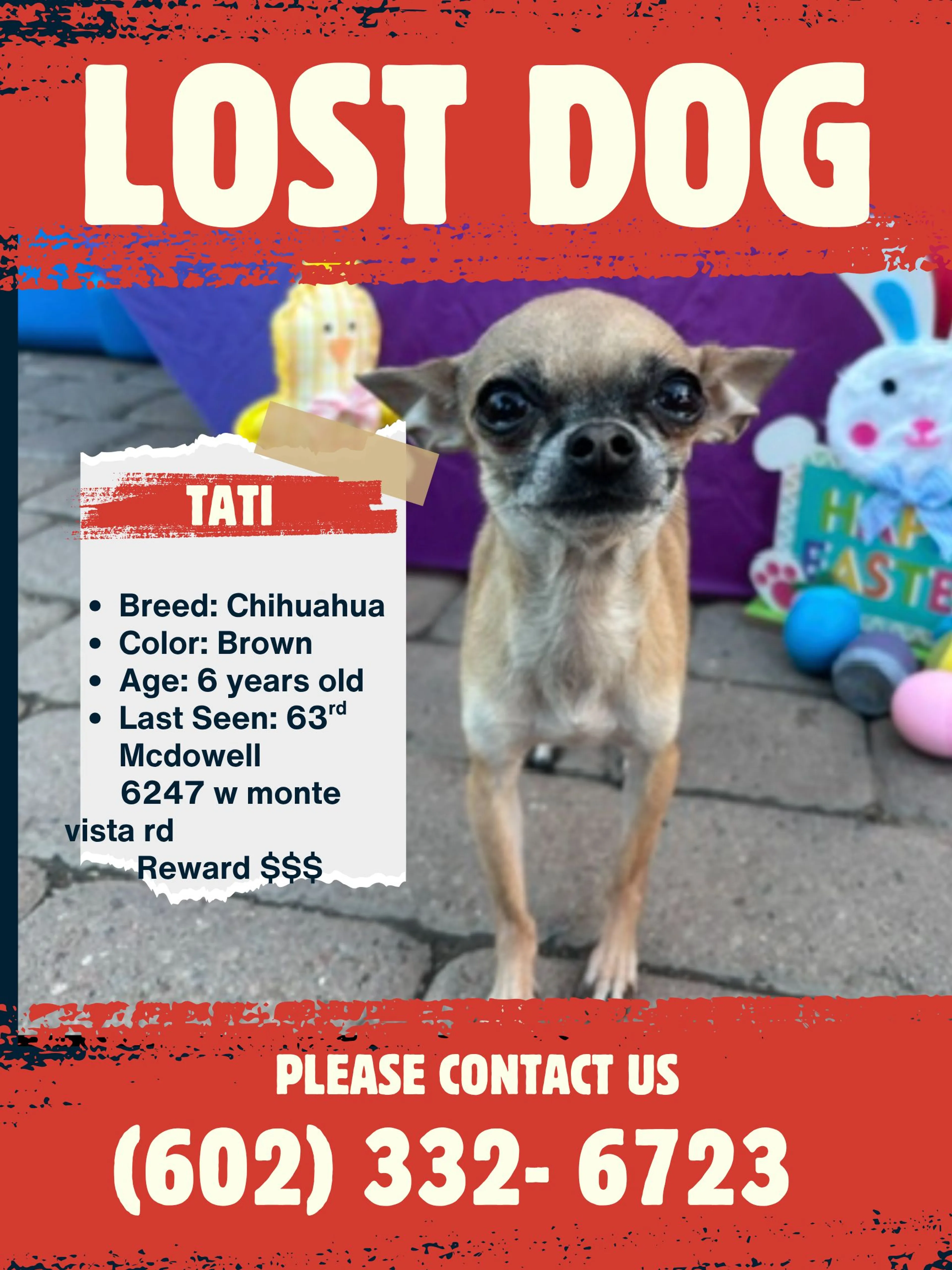 Lost pet