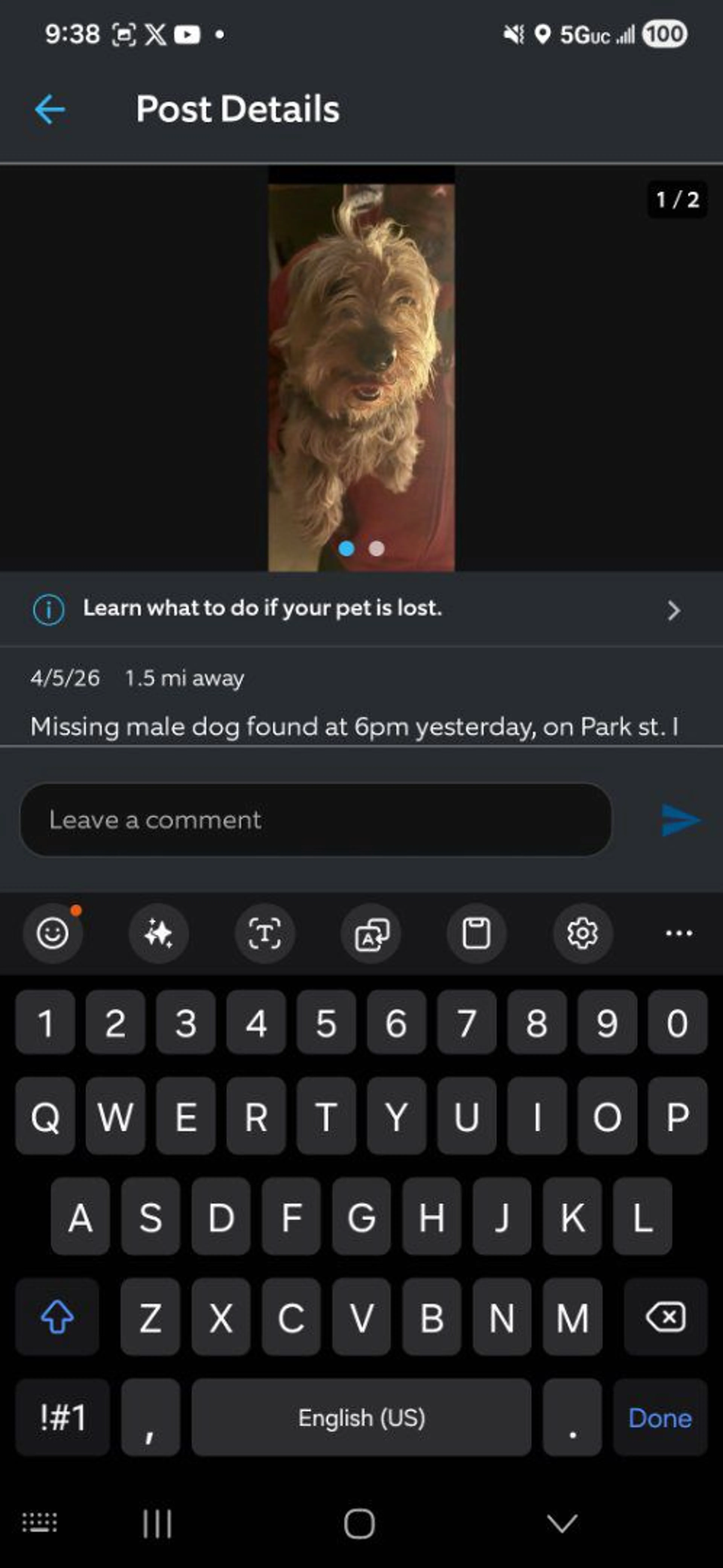 Lost pet-0