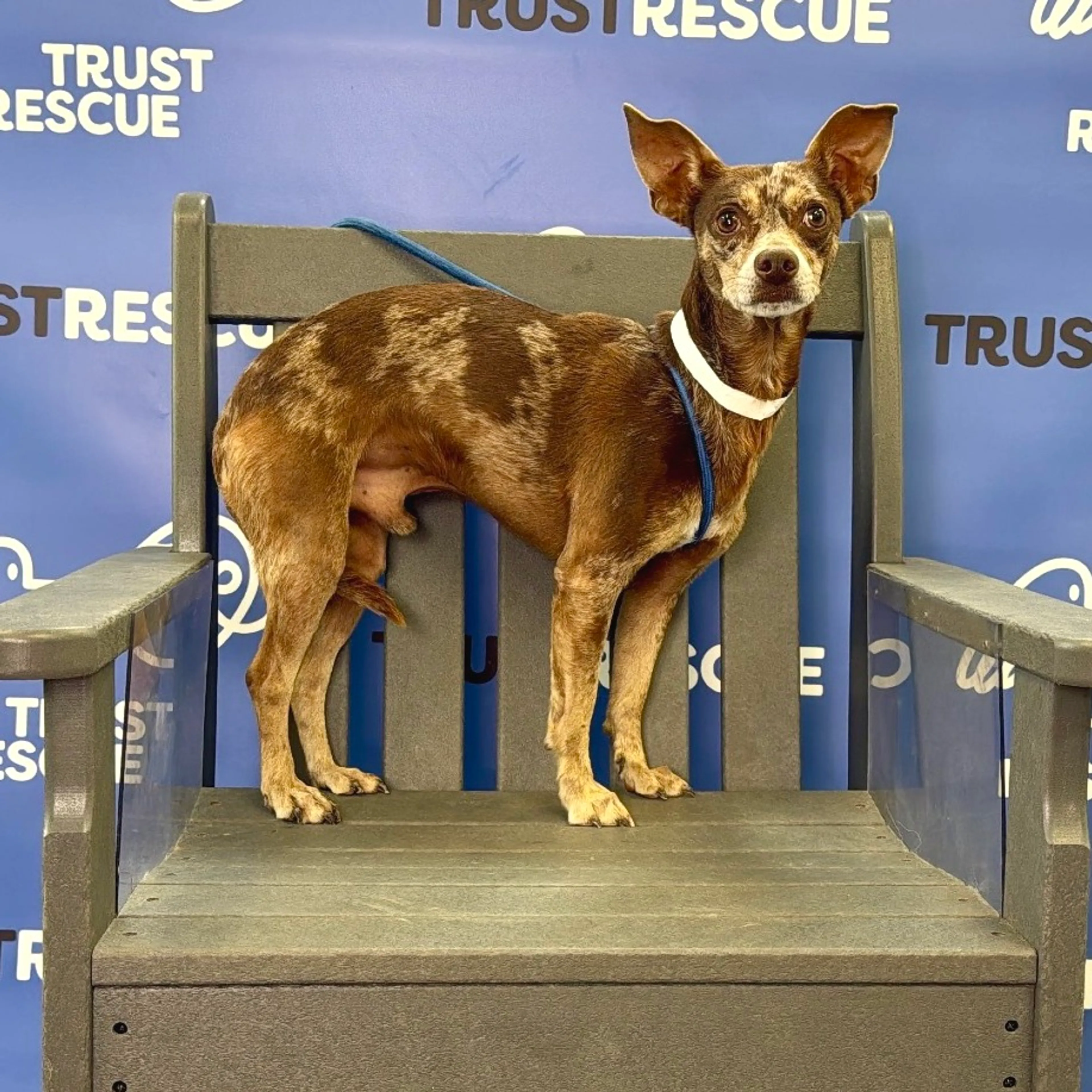 -1