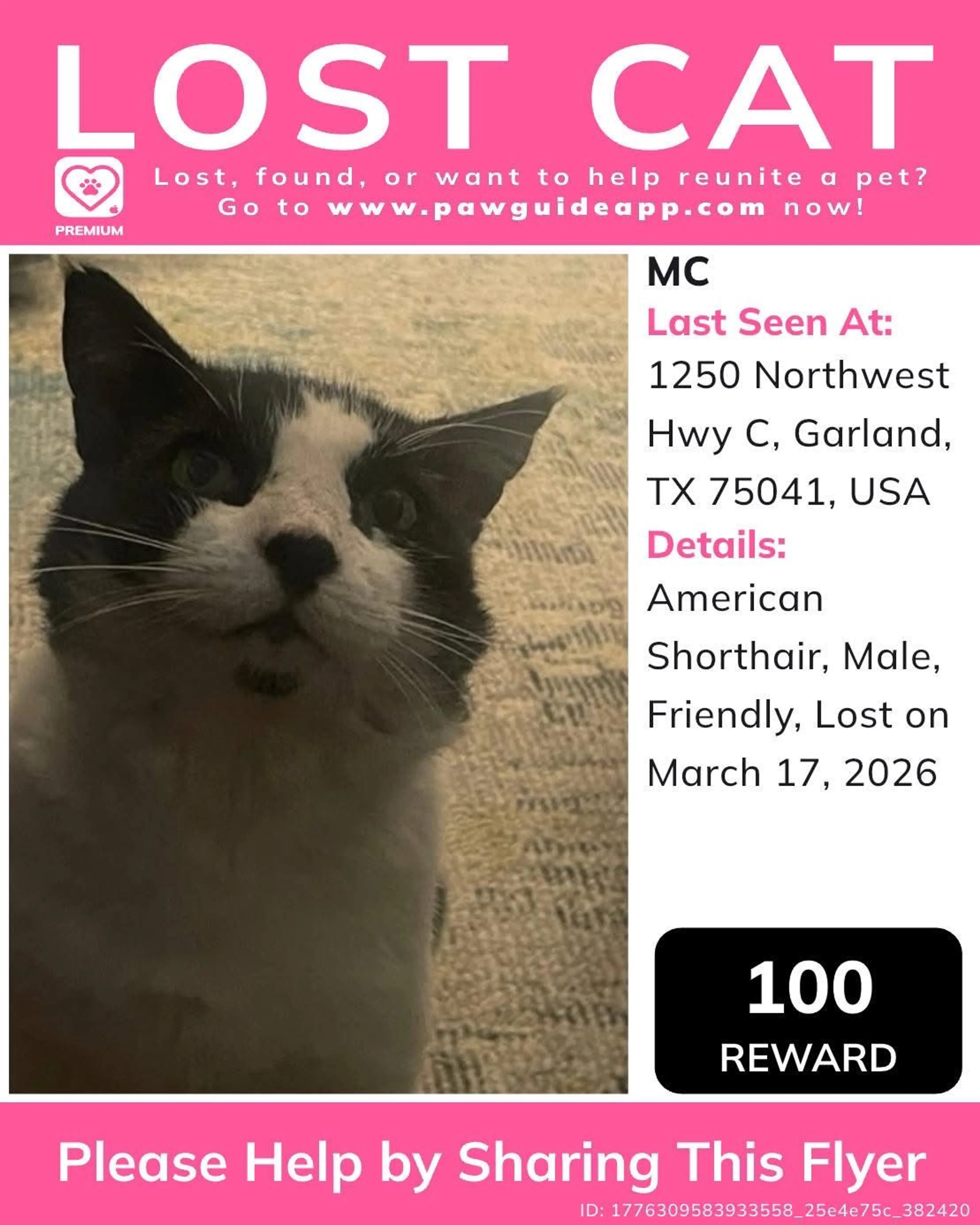 Lost pet