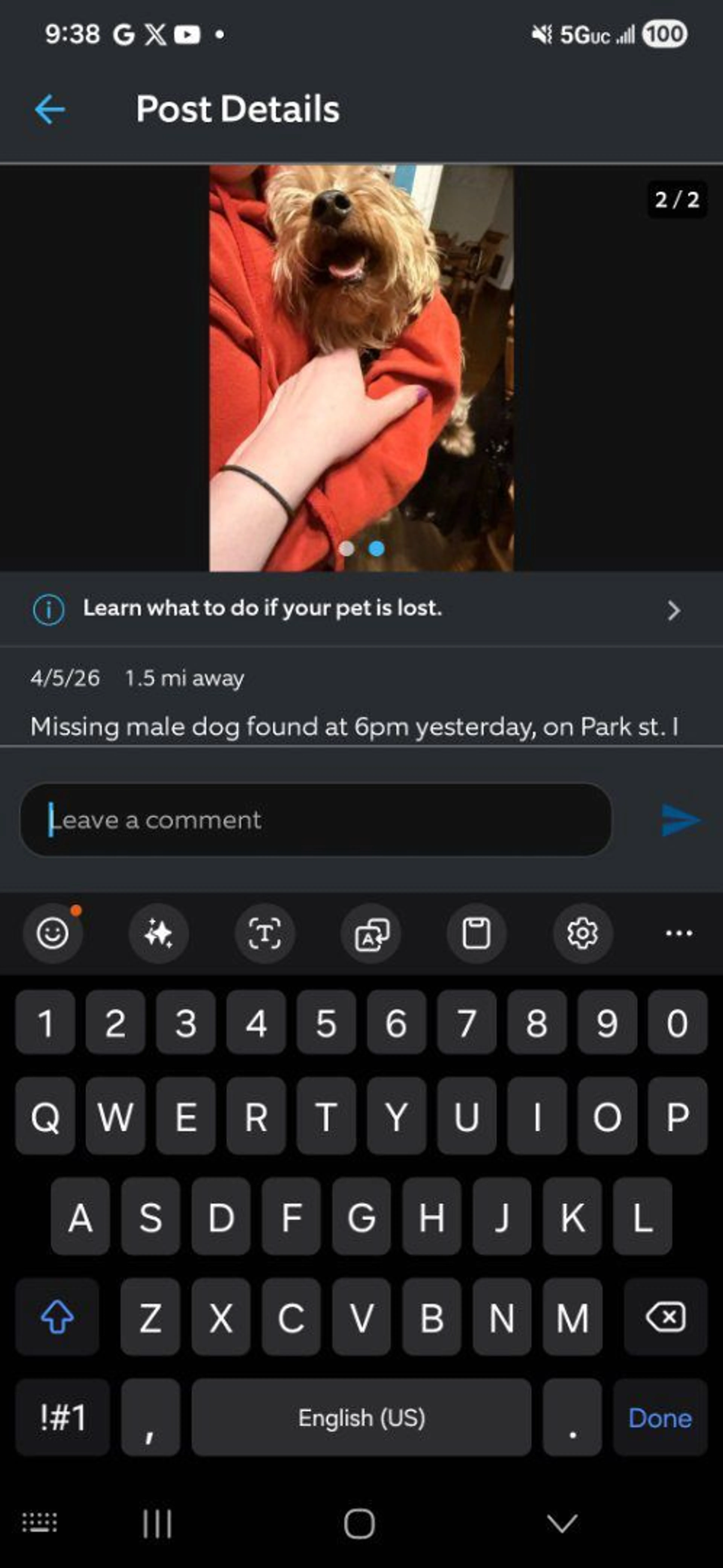 Lost pet