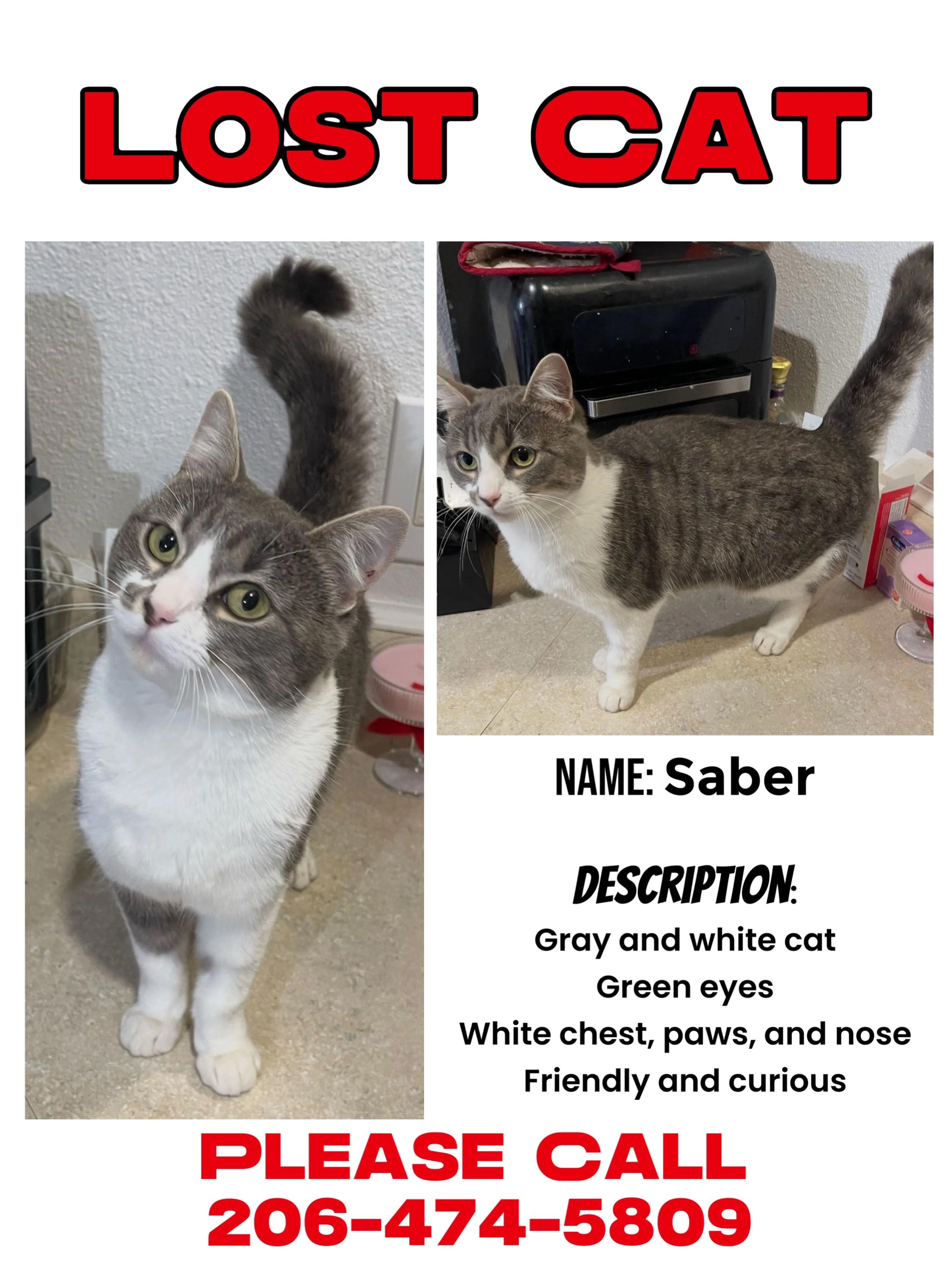 Lost pet