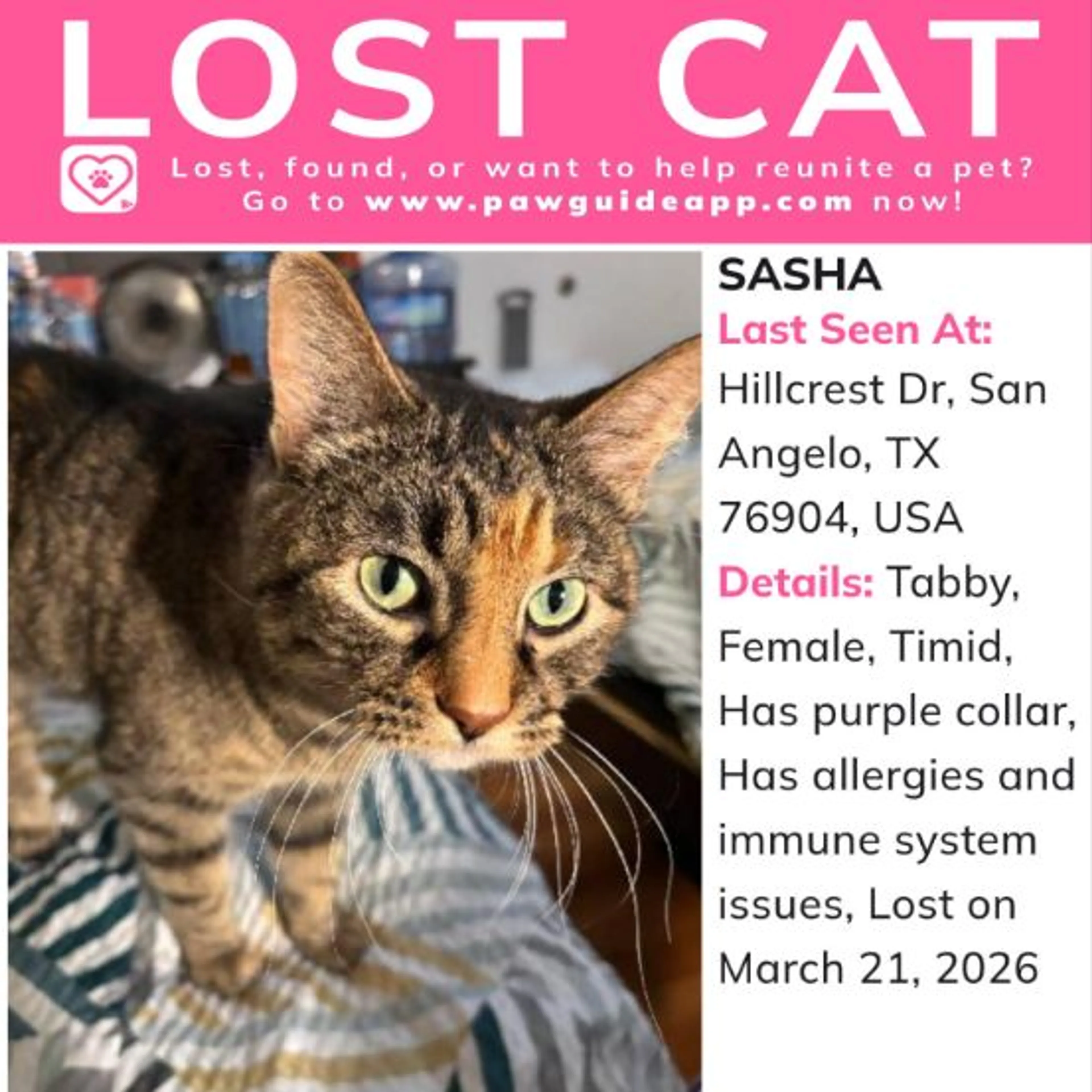 Lost pet-0