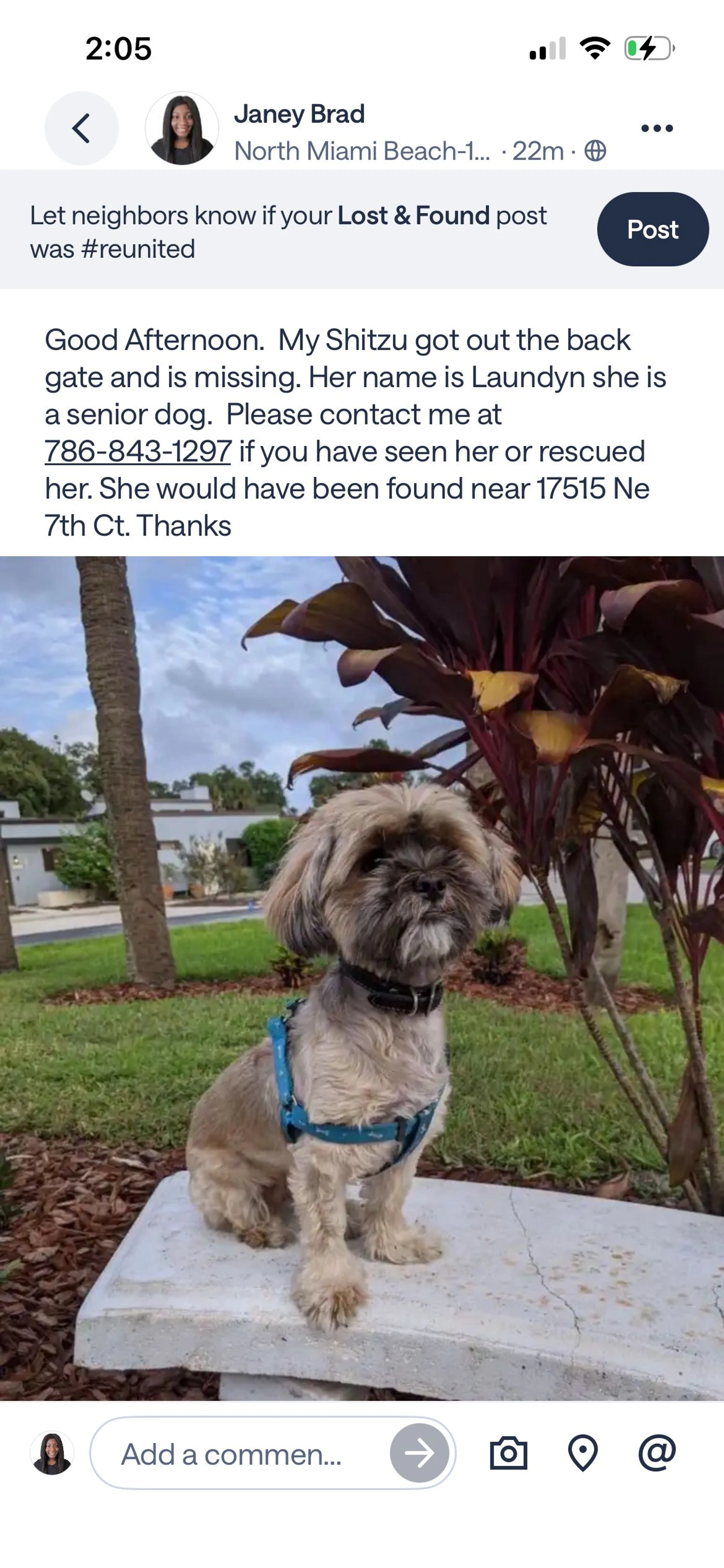Lost pet