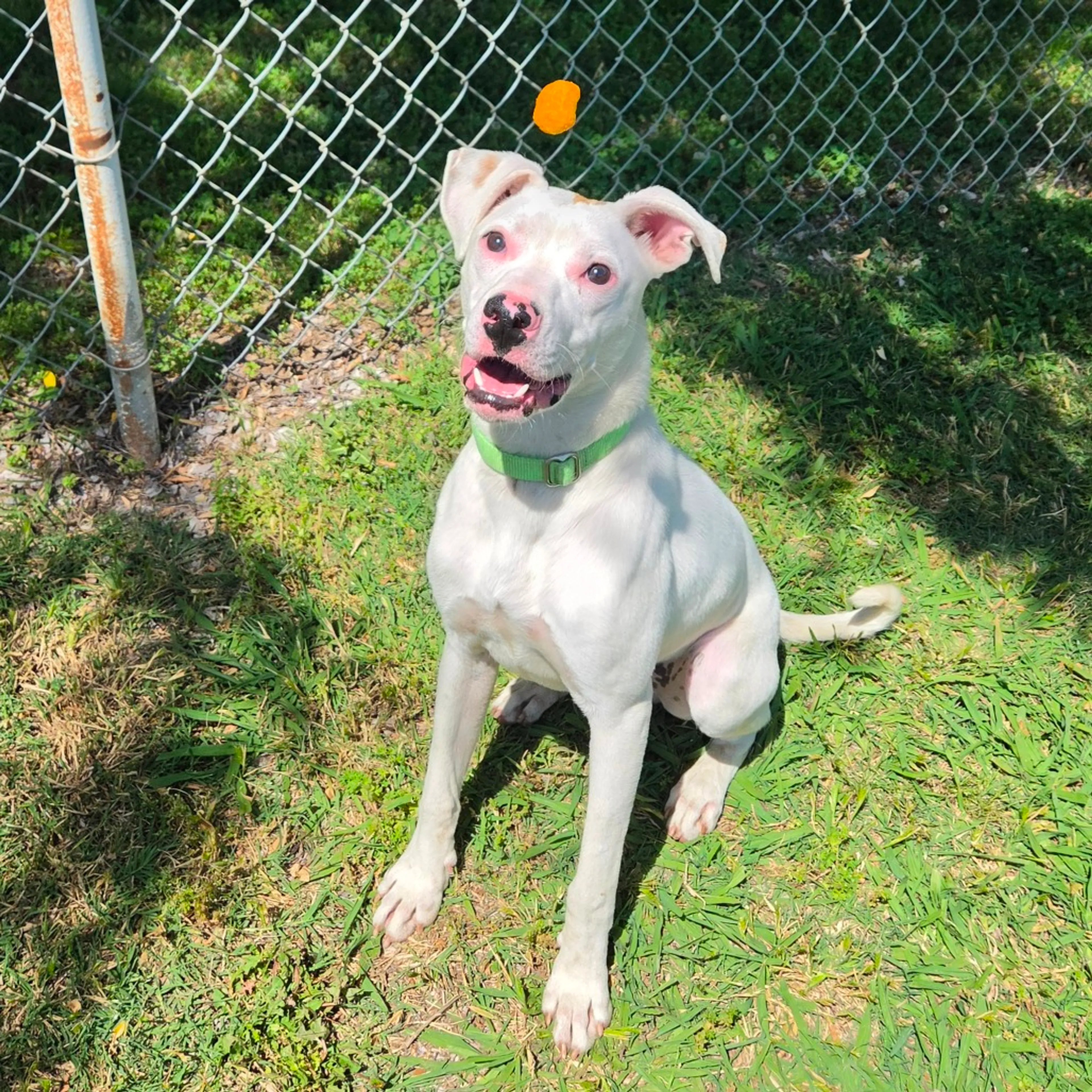 -21
