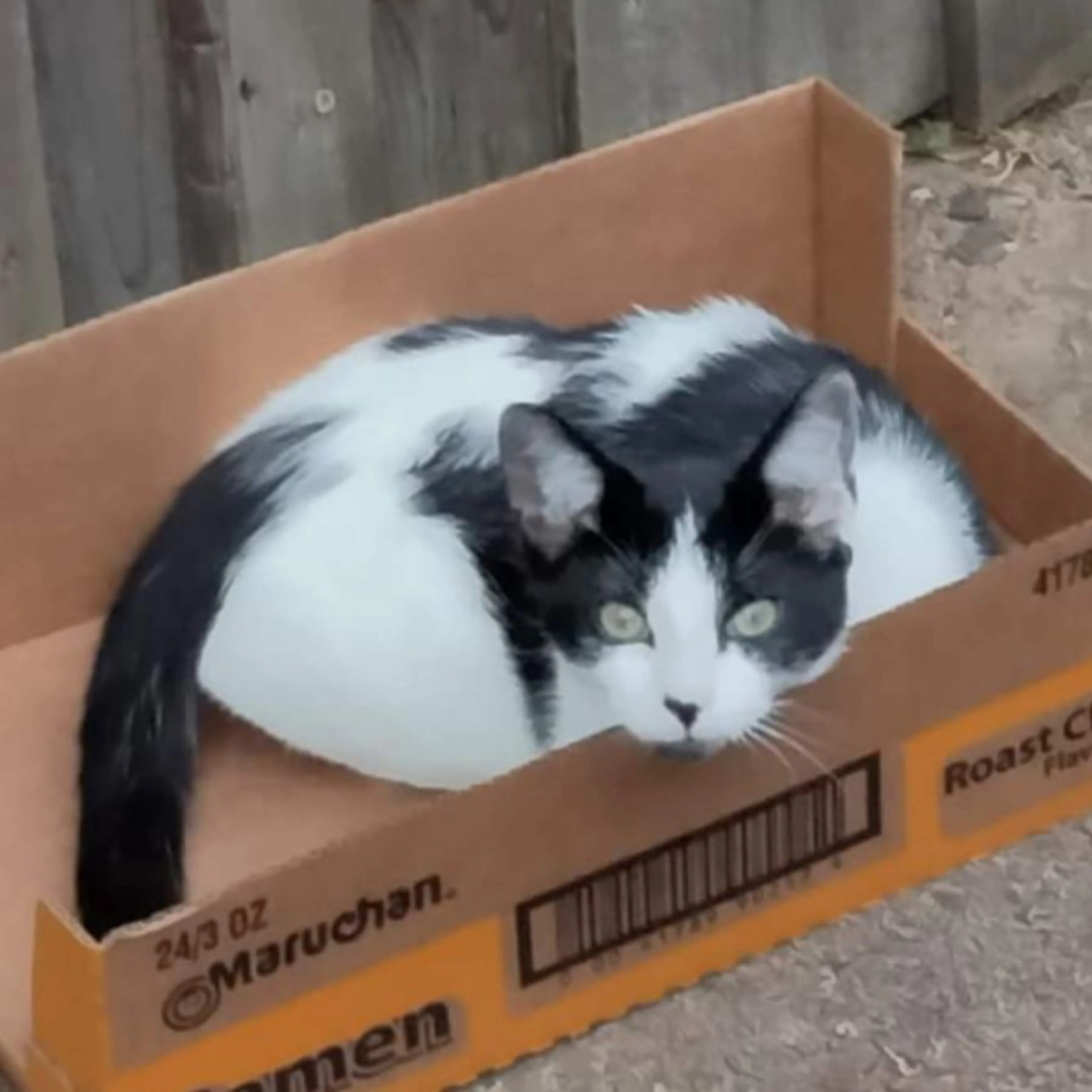 cdn image