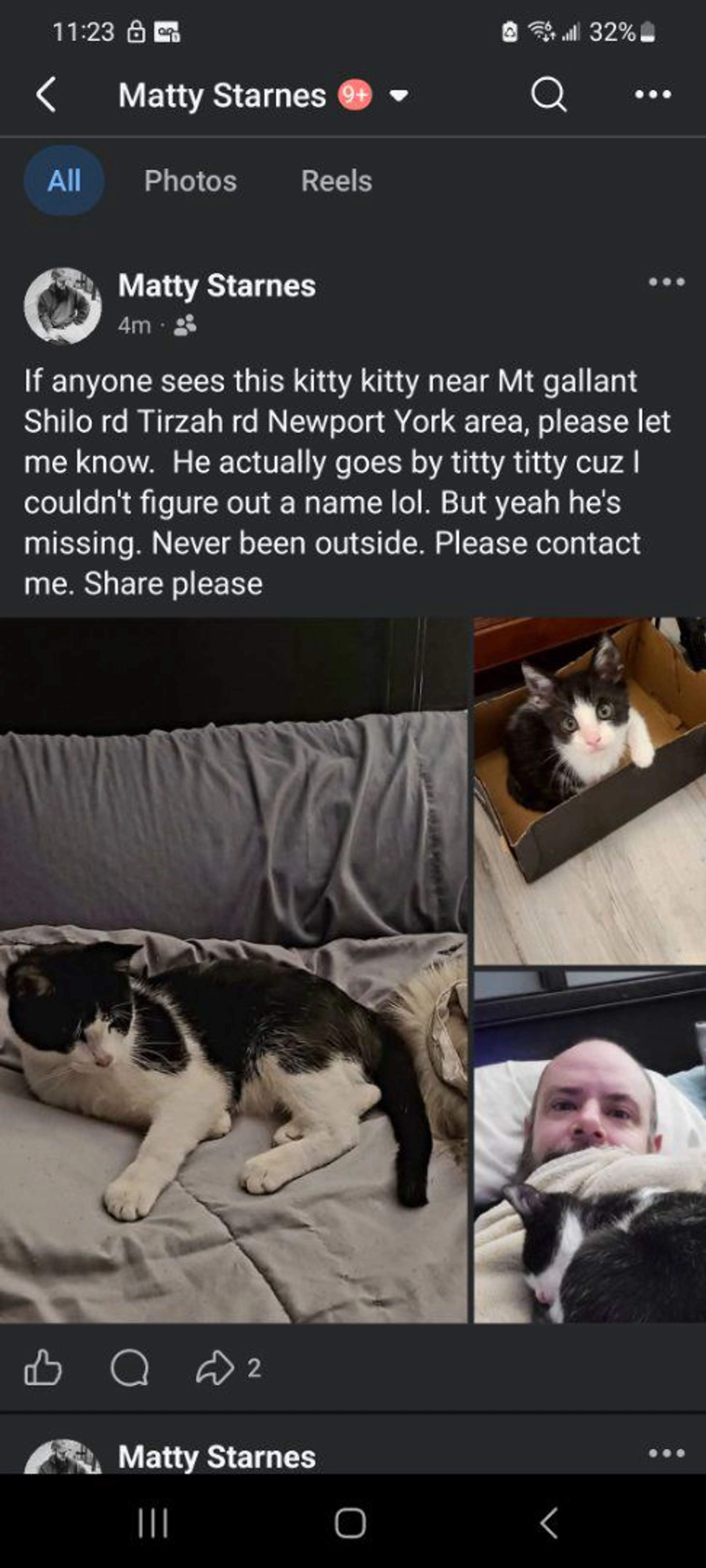 Lost pet