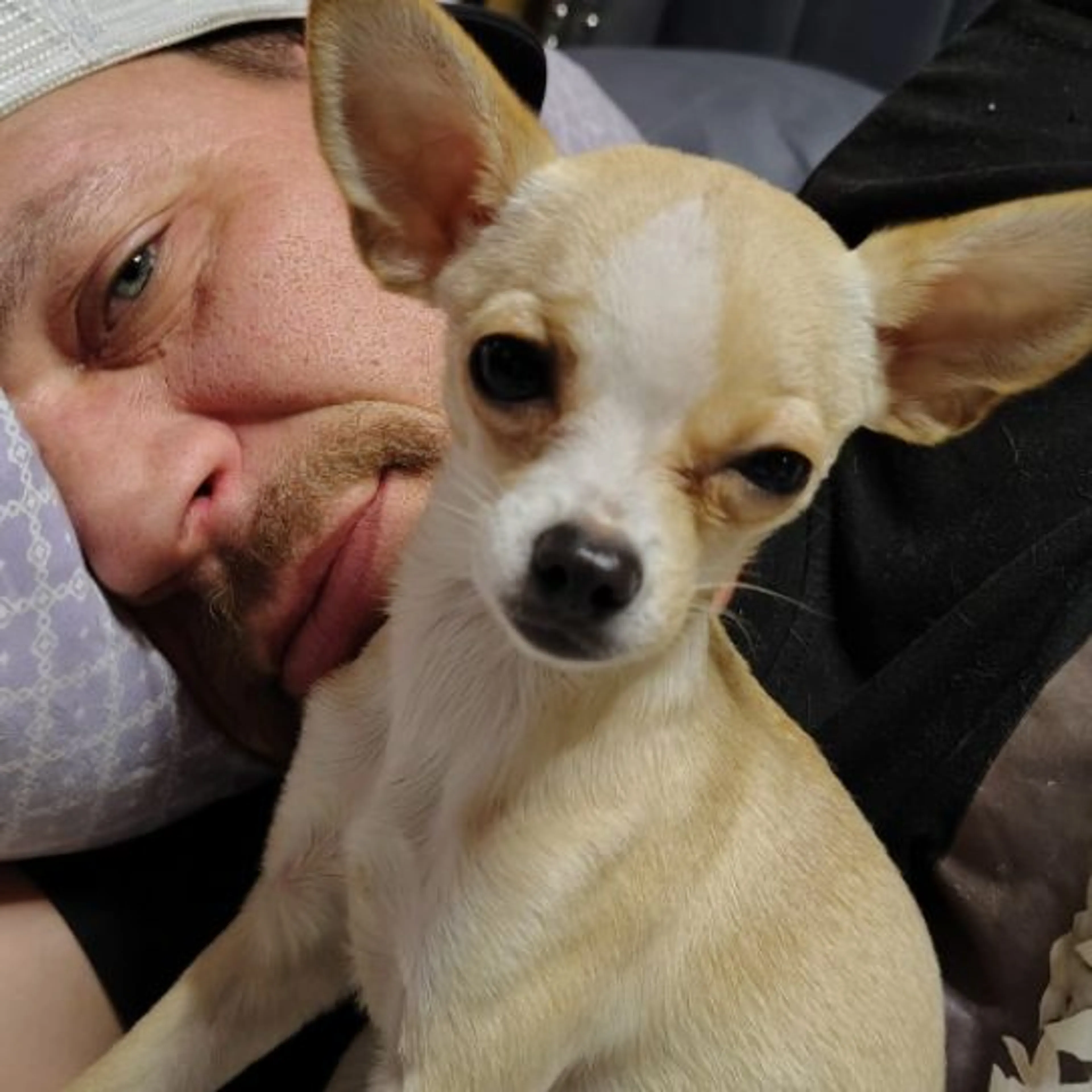 Lost pet