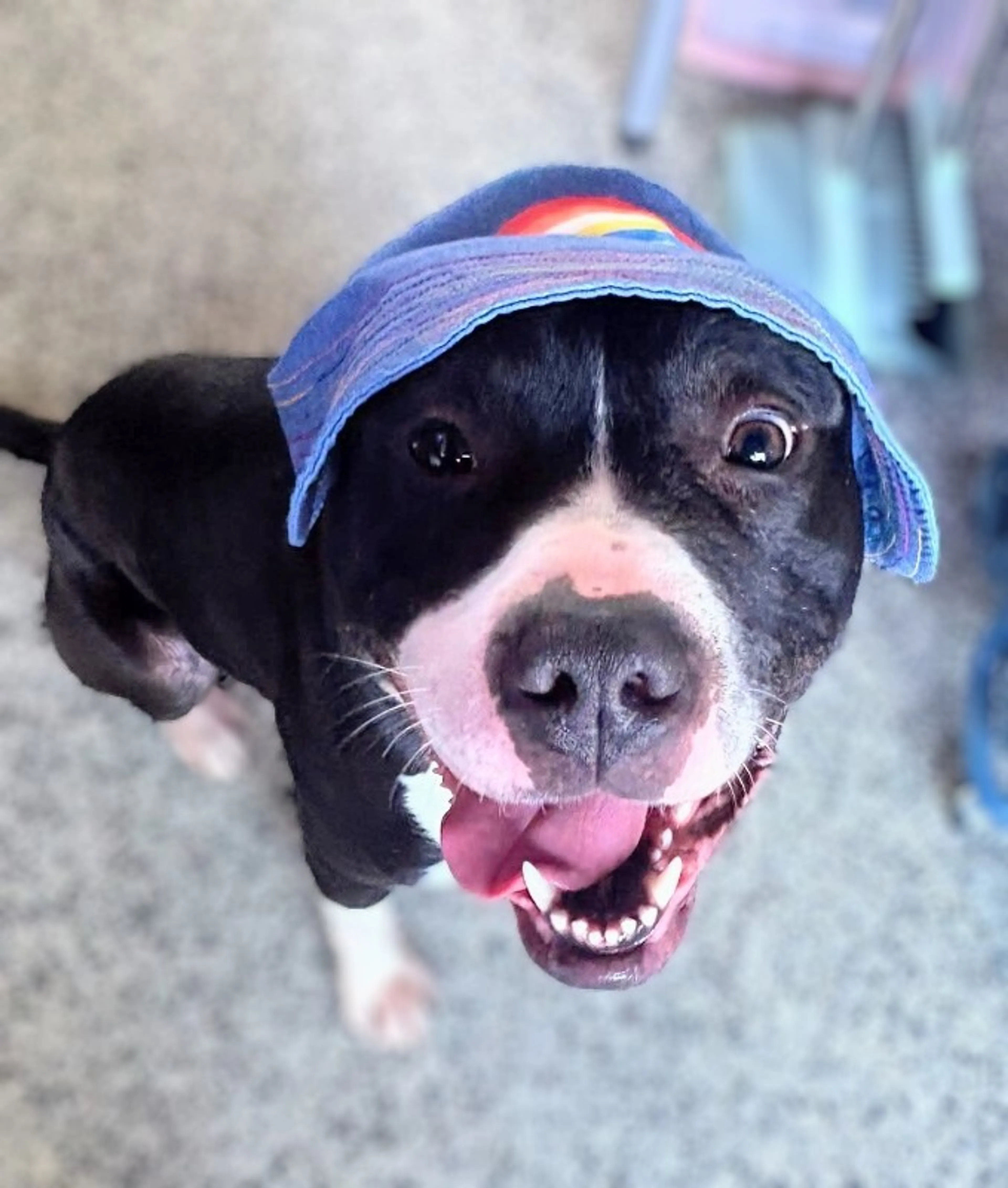 cdn image