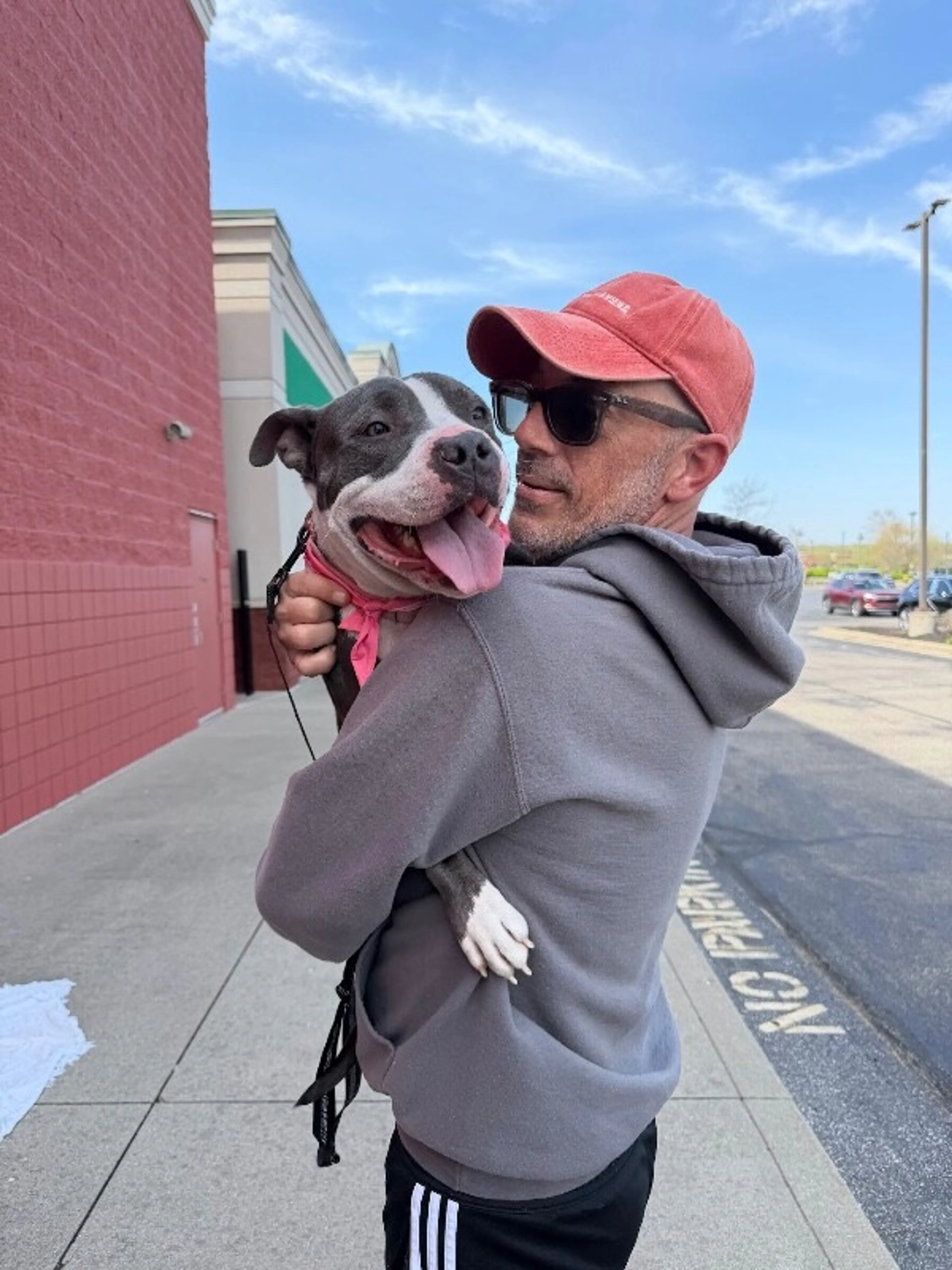 Found pet-1