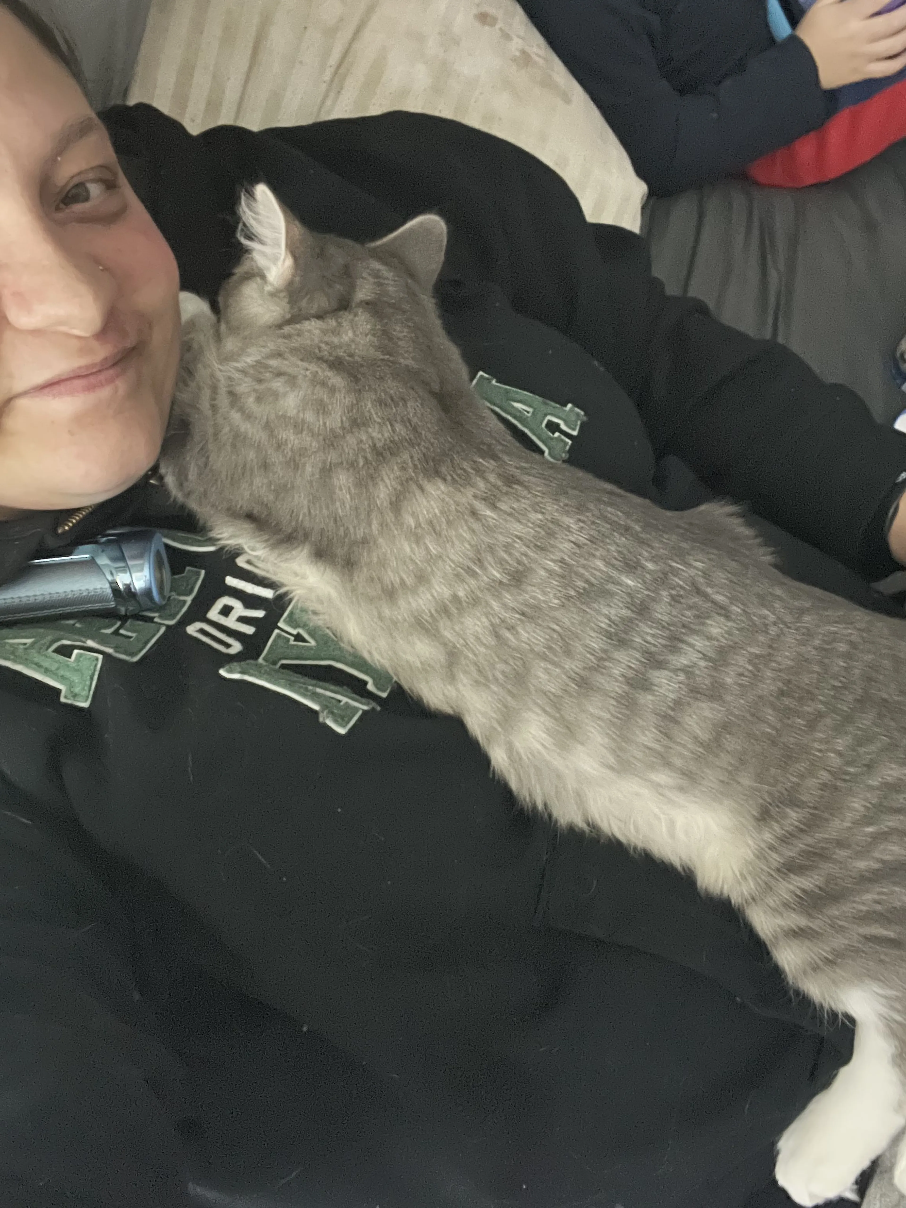 Lost pet-3