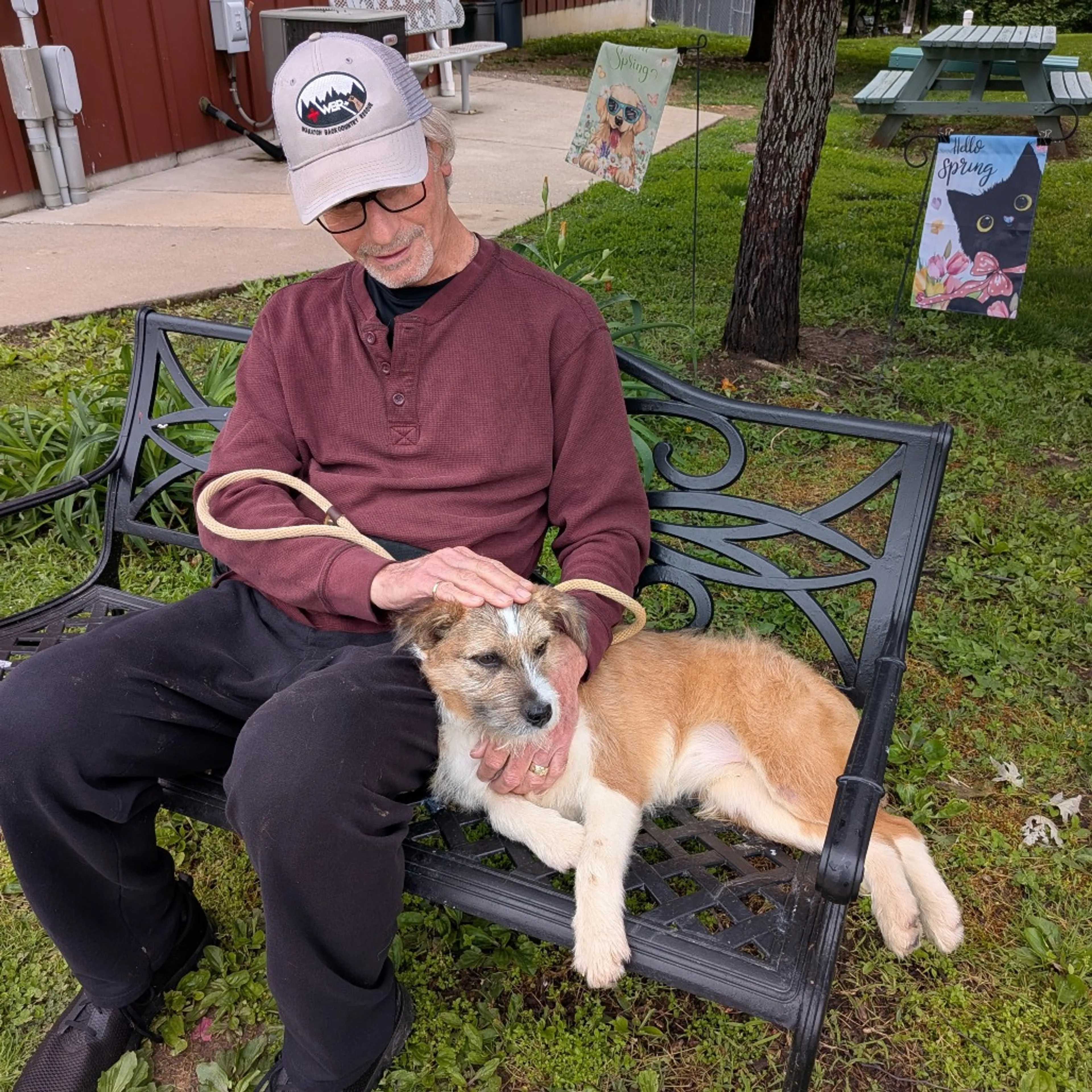 Found pet-6