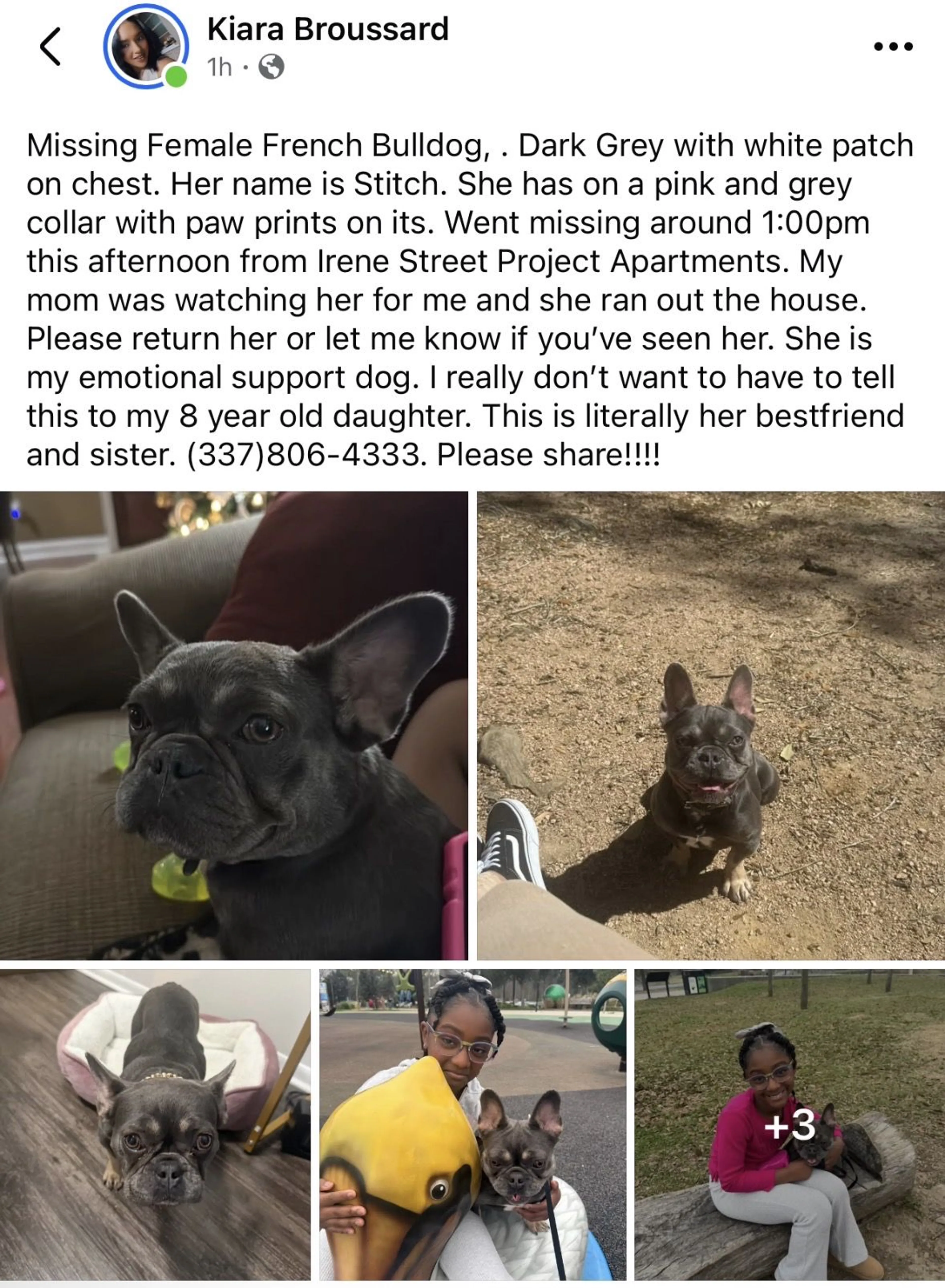 Lost pet