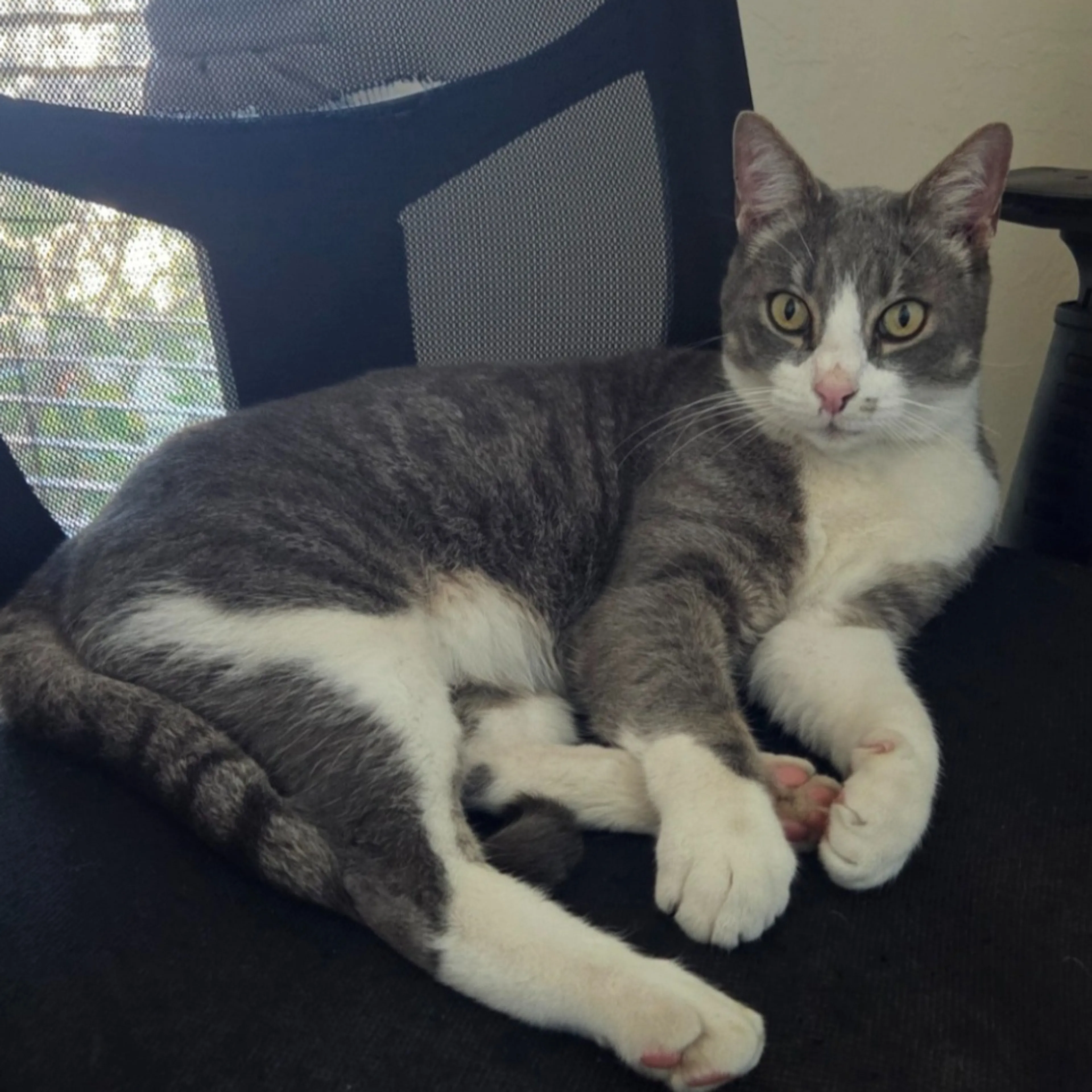 -1