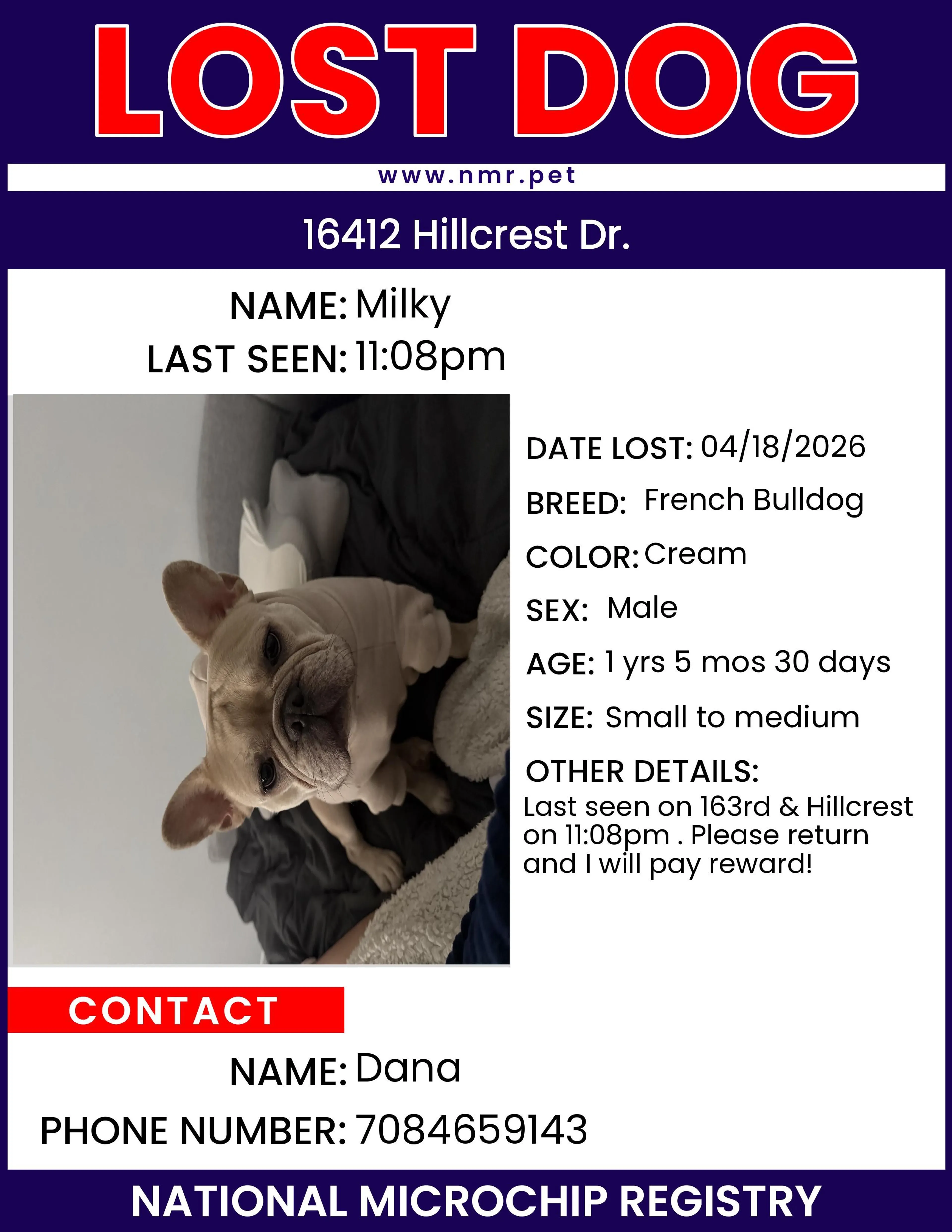 Lost pet