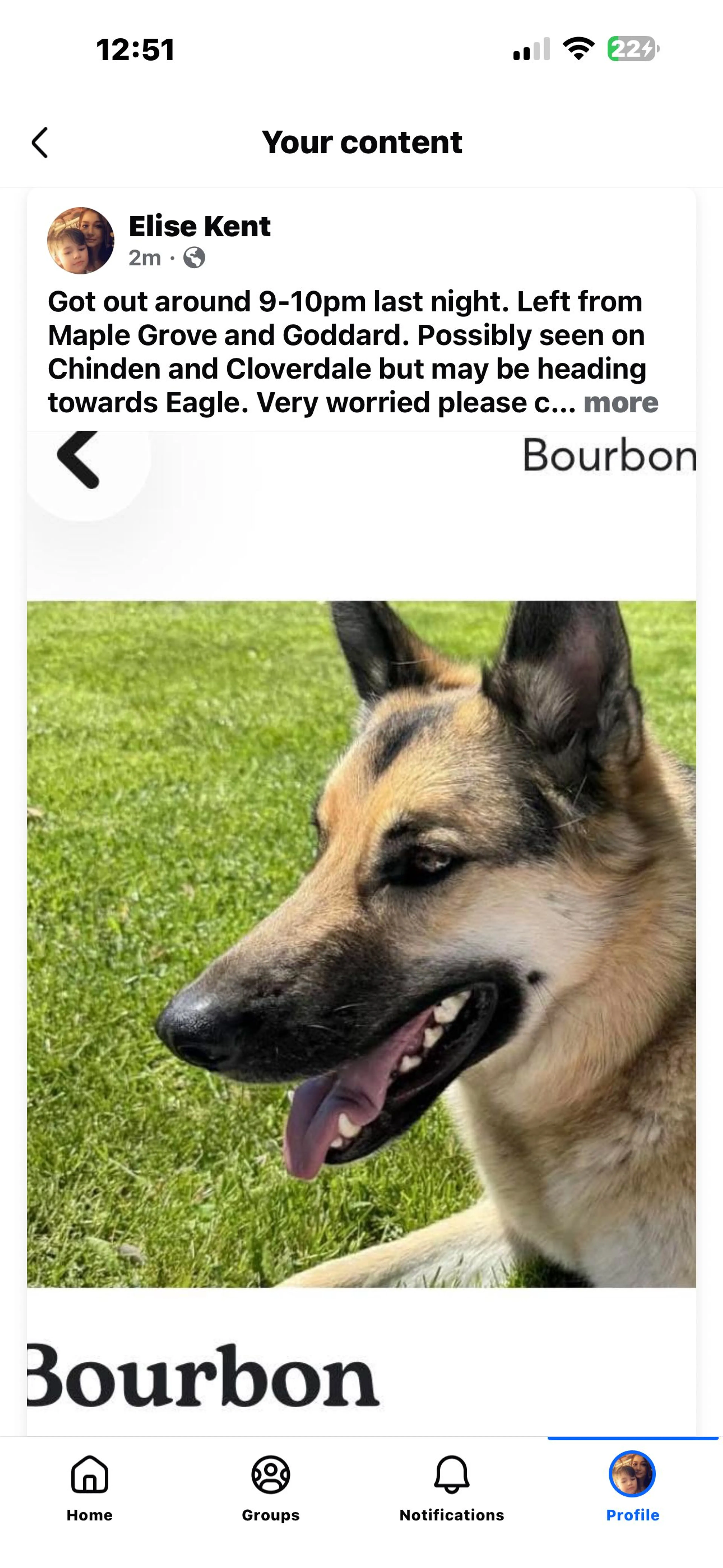 Lost pet