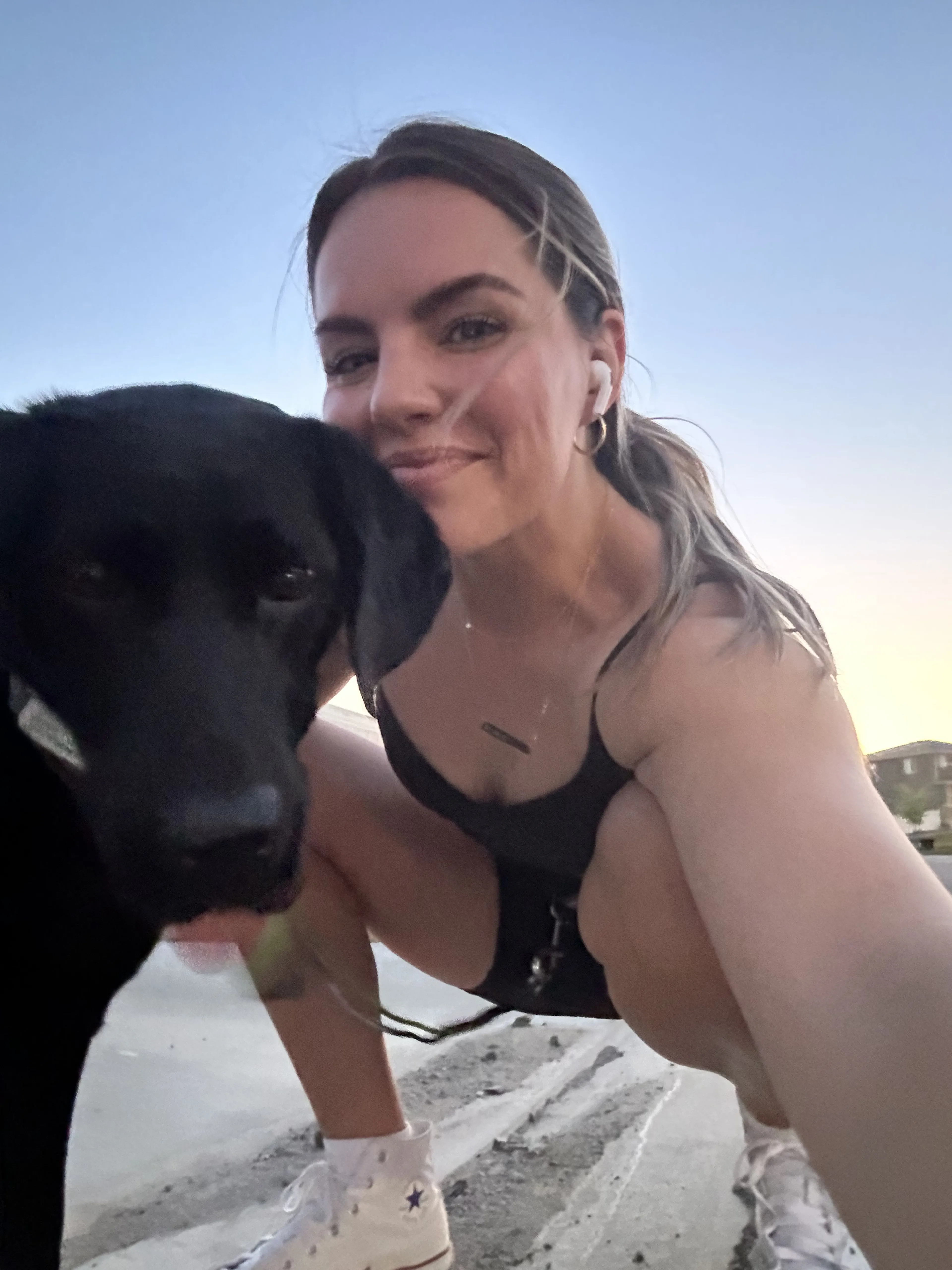 Lost pet-2