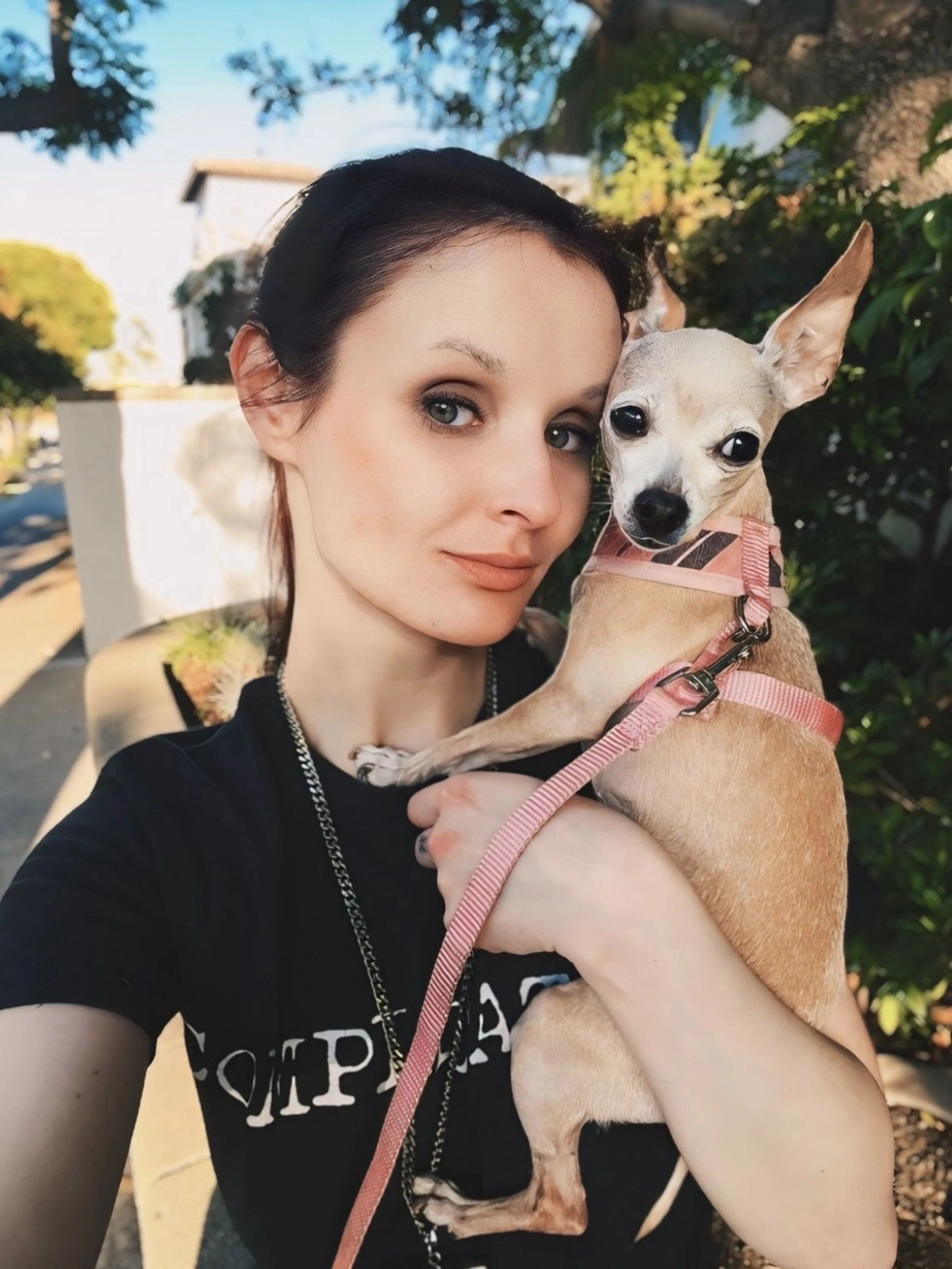 Lost pet-1