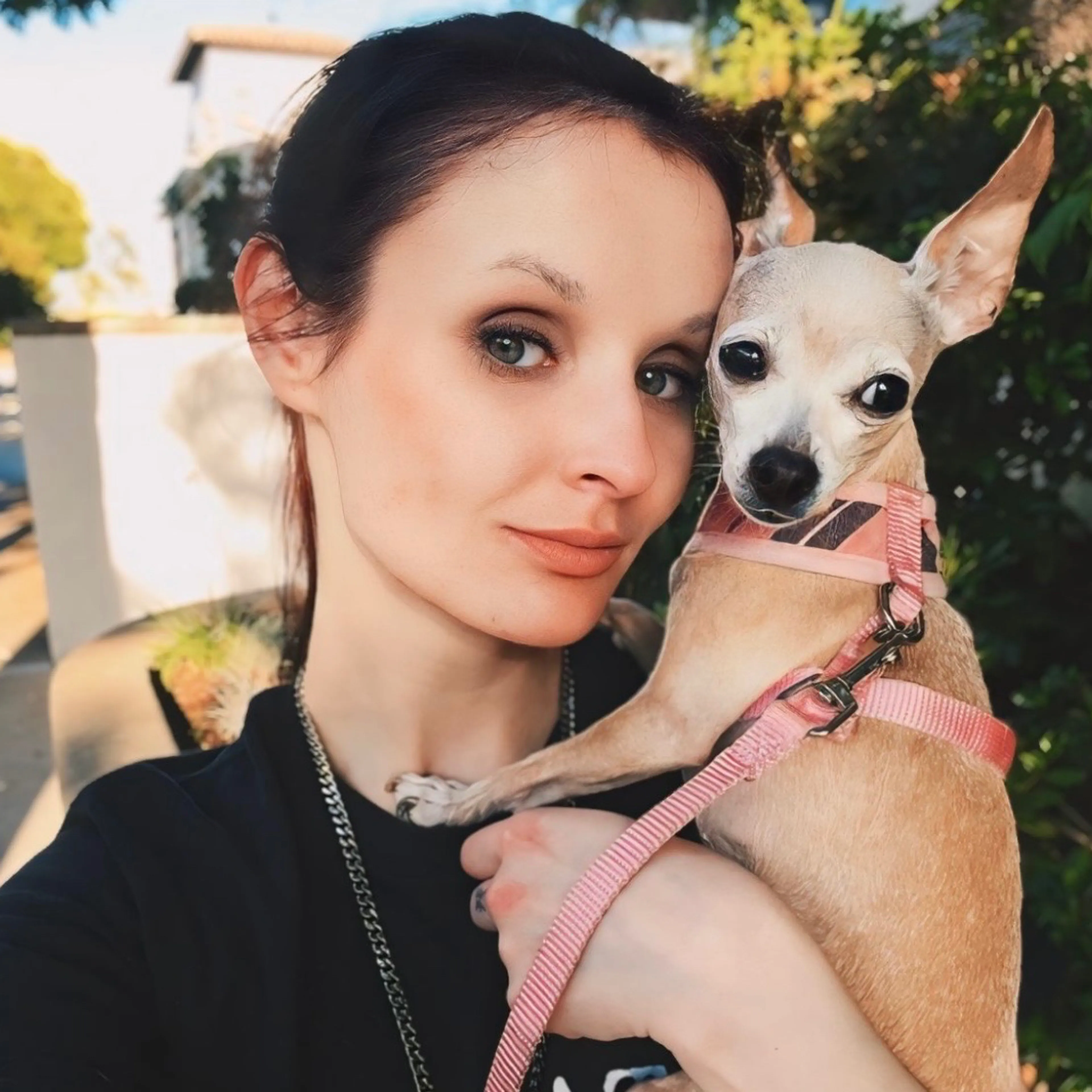 Lost pet-3