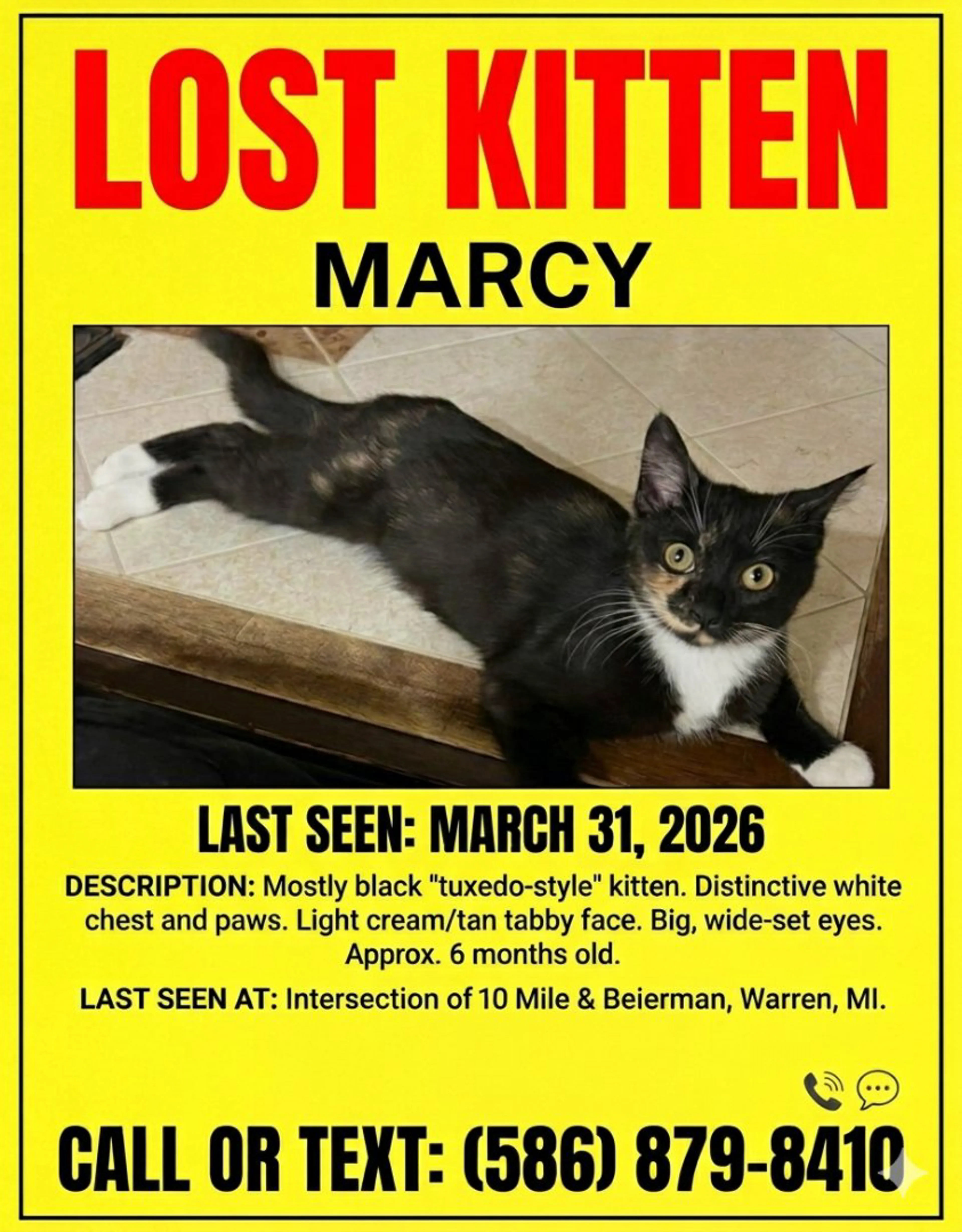 Lost pet