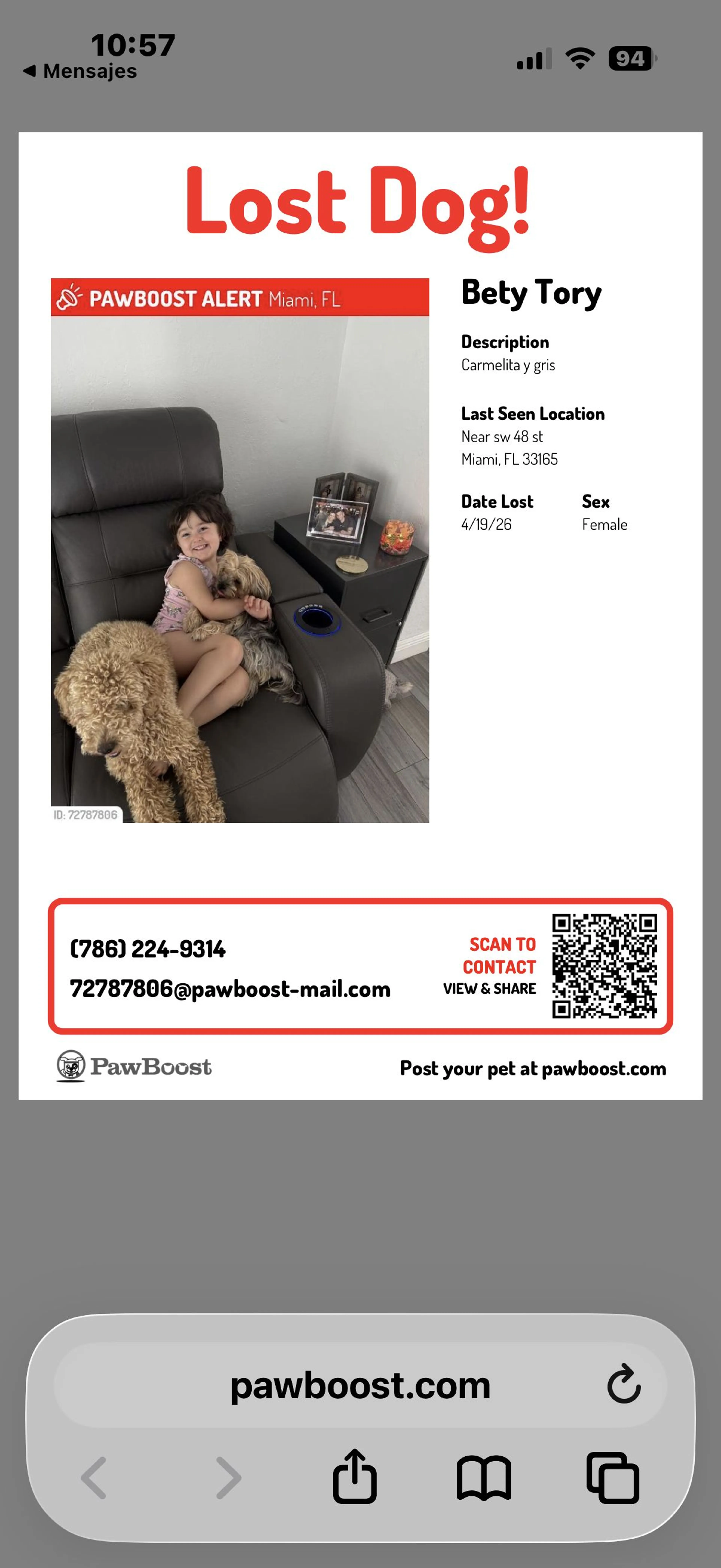 Lost pet