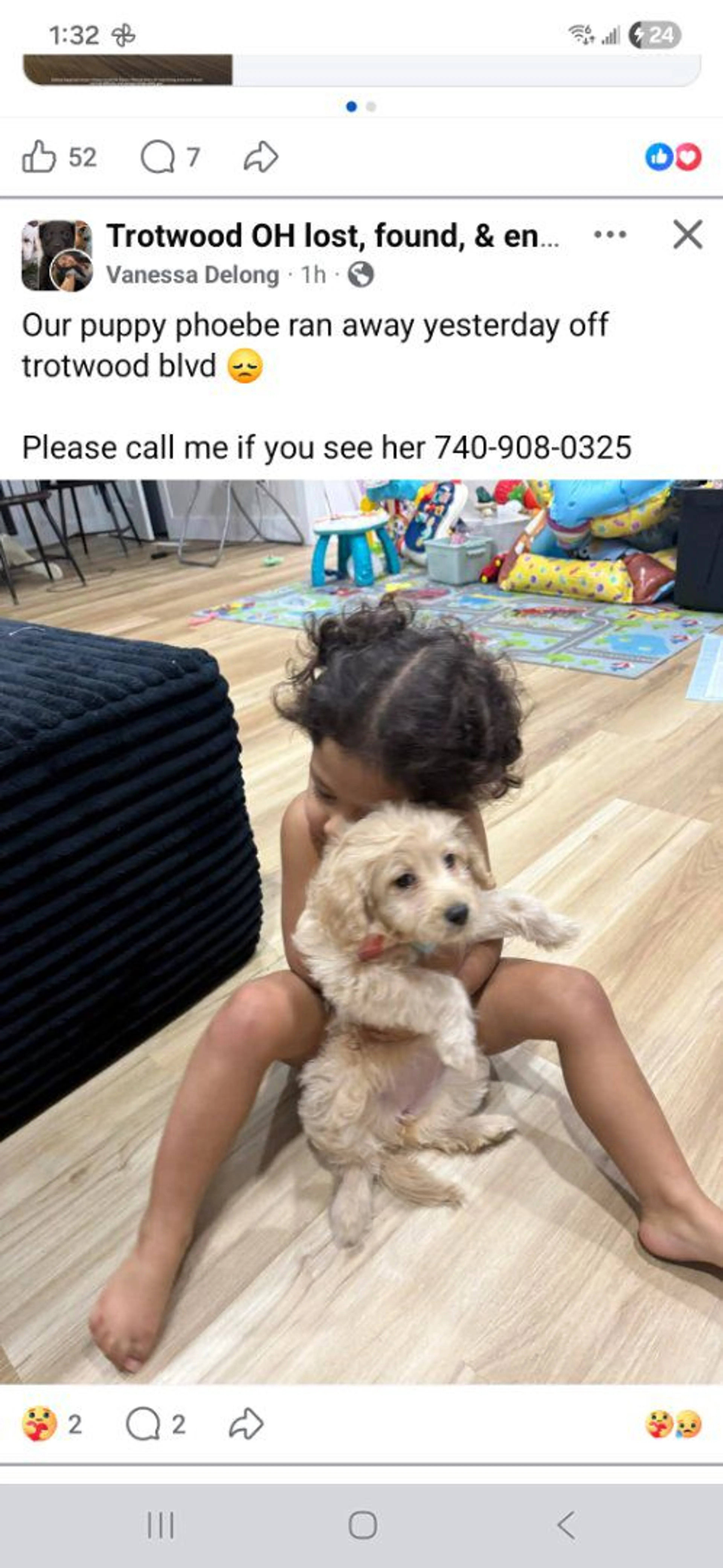 Lost pet