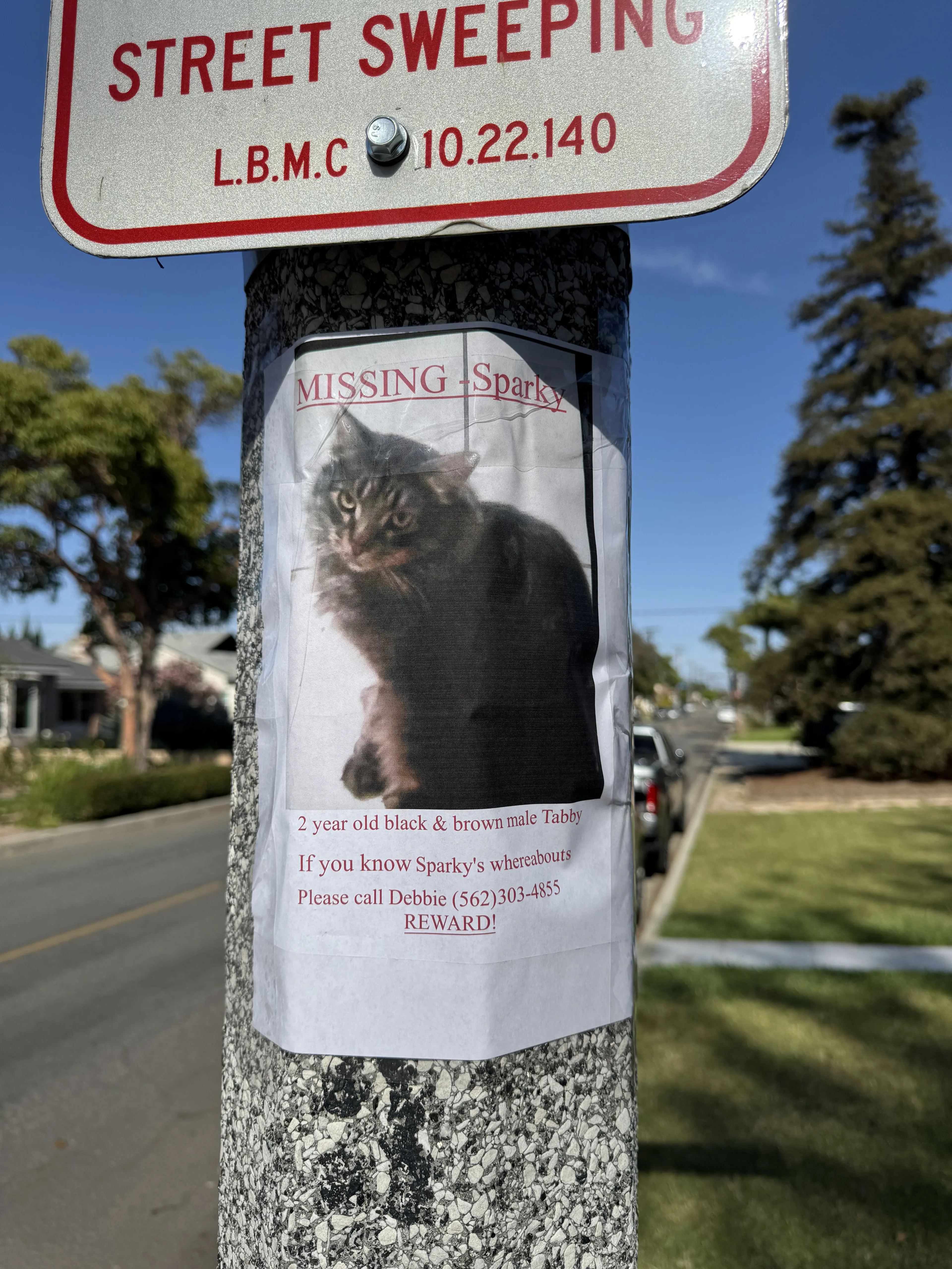 Lost pet