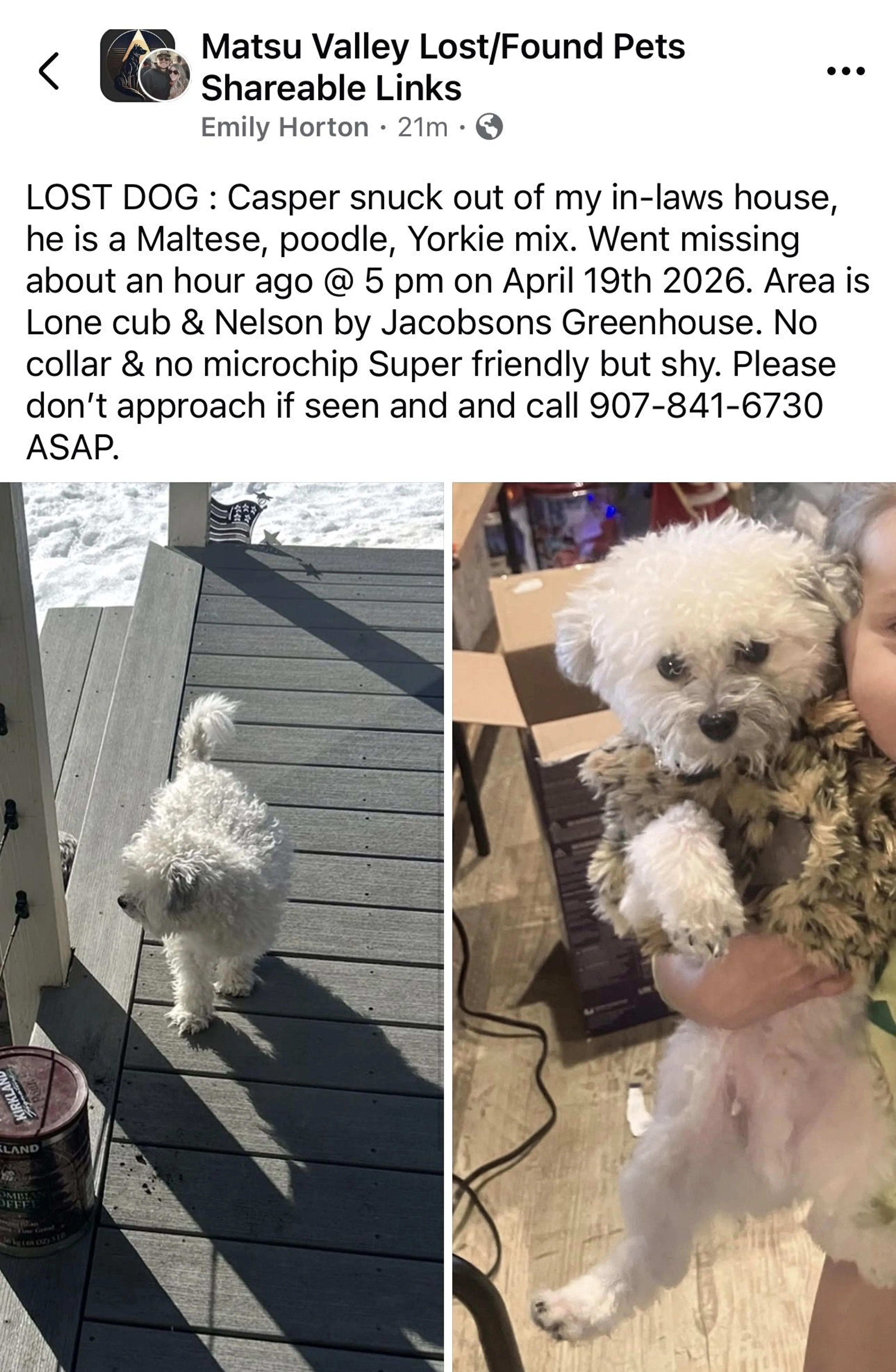 Lost pet