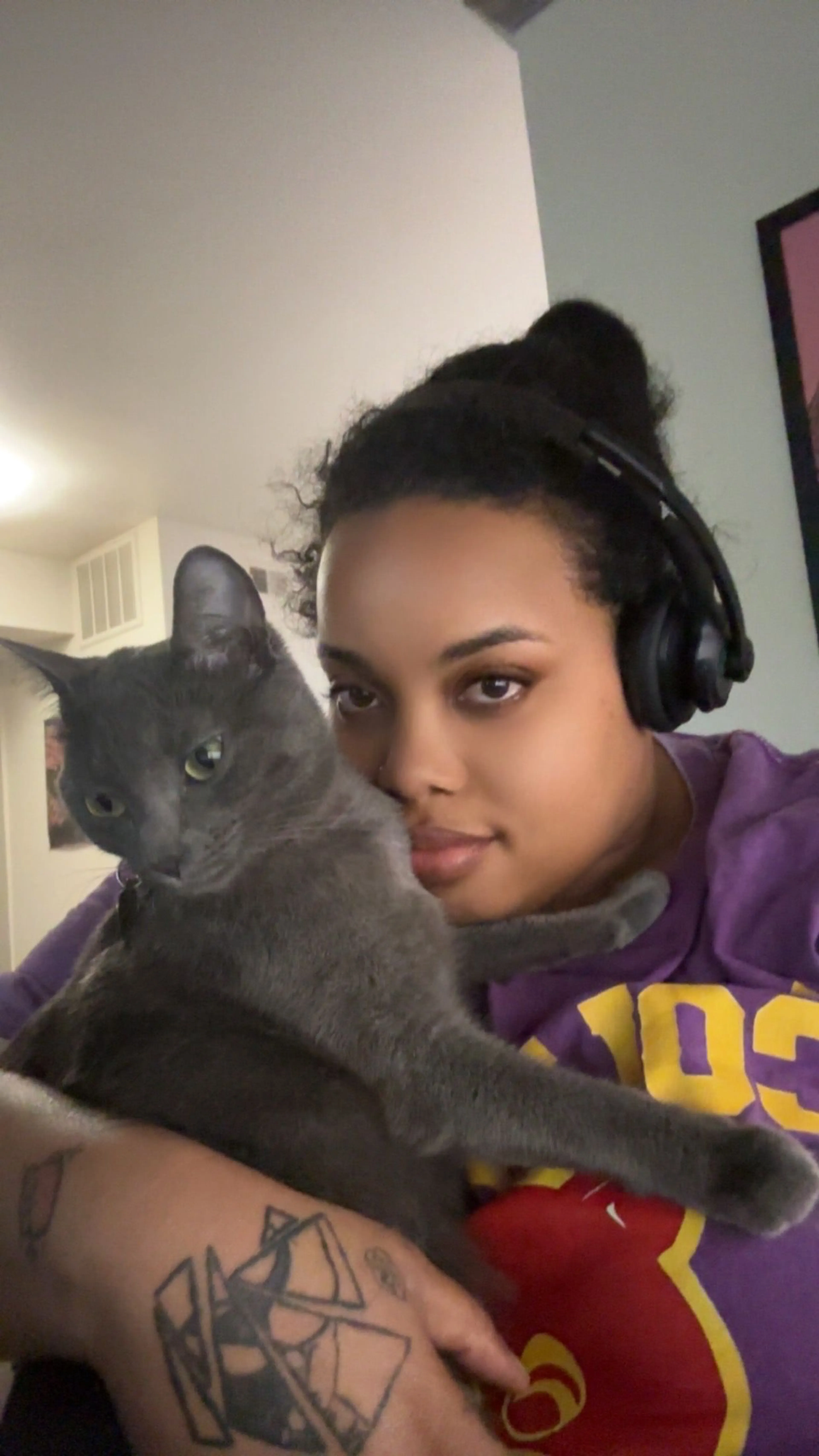 Lost pet