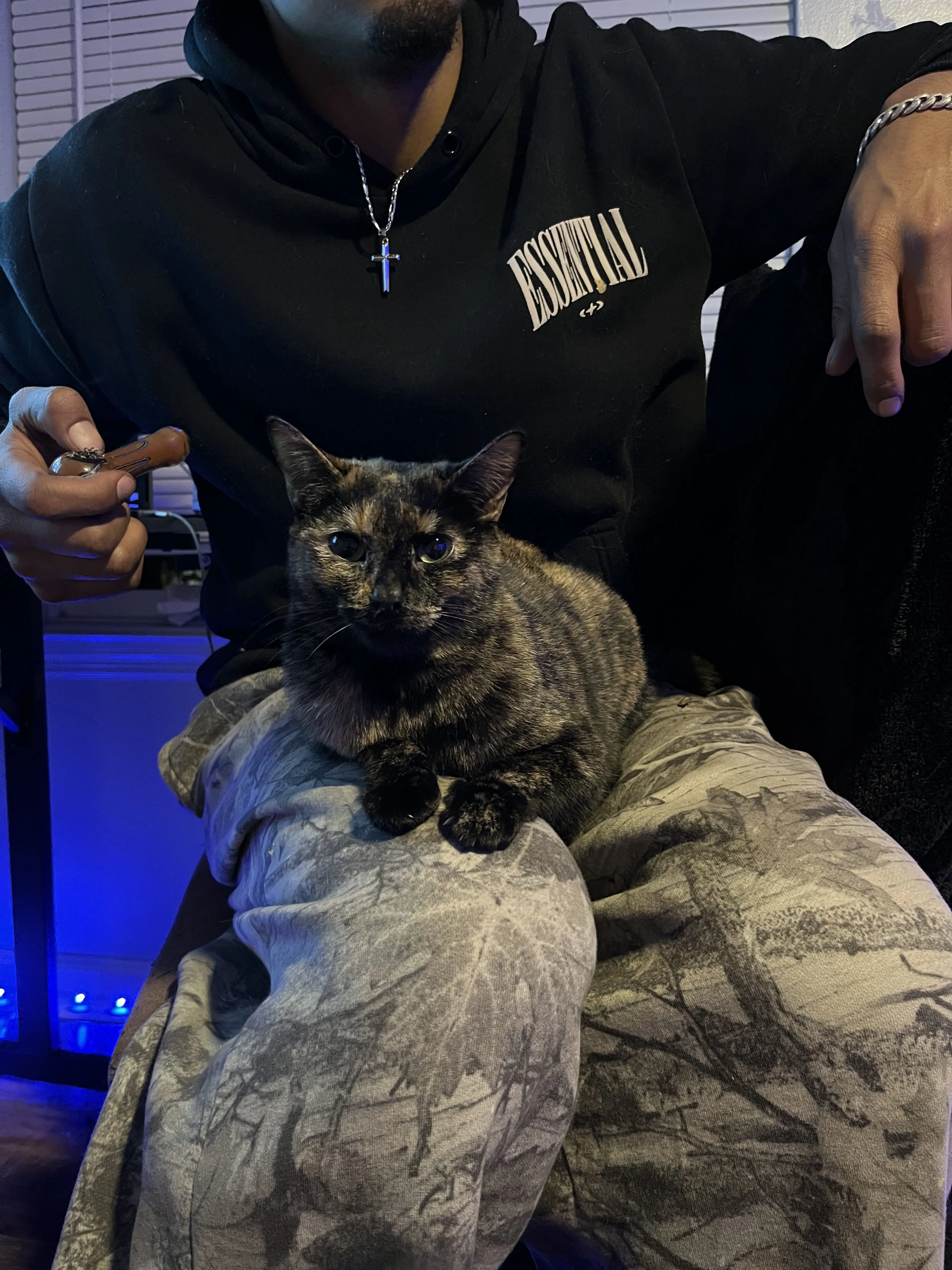 Lost pet
