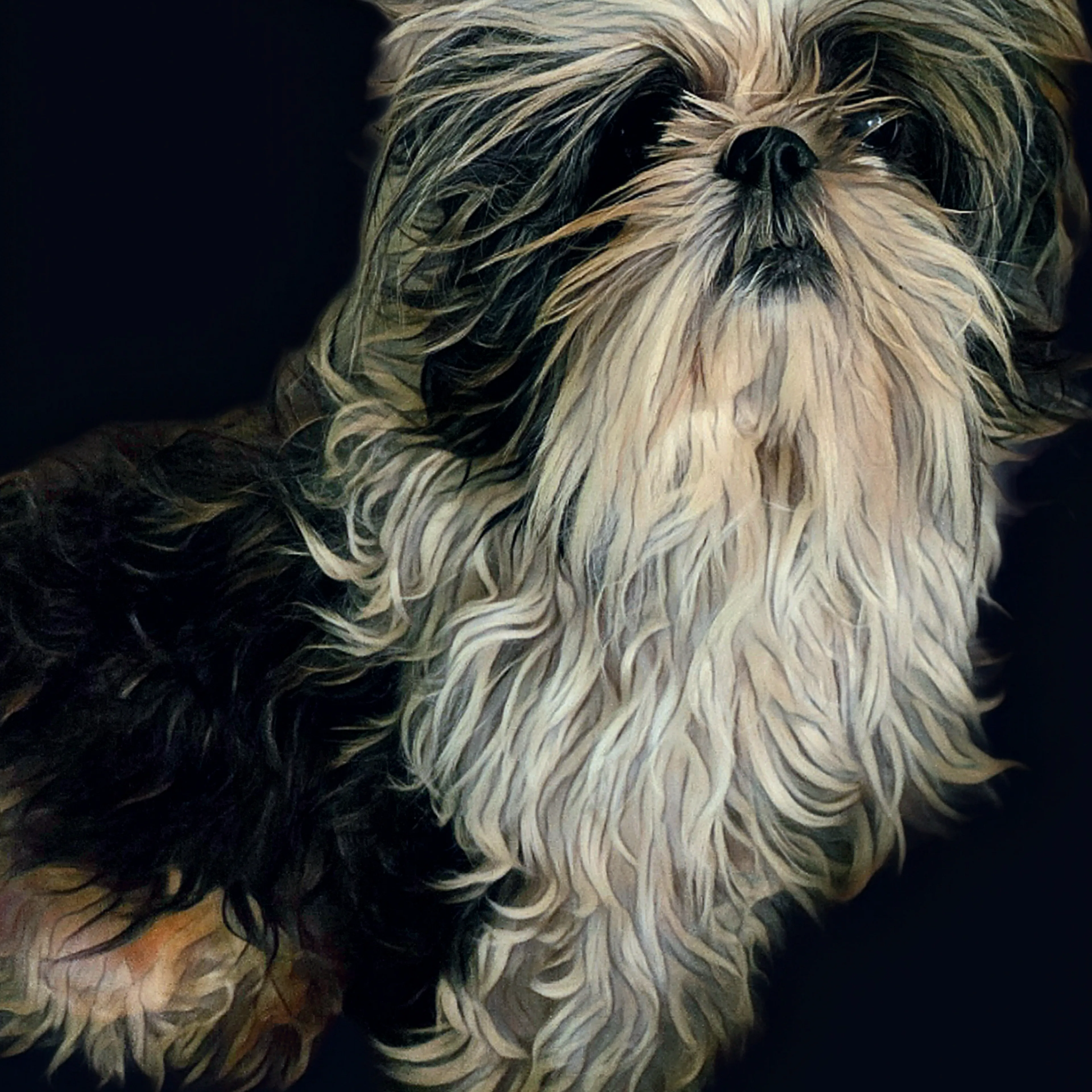 Lost pet-3