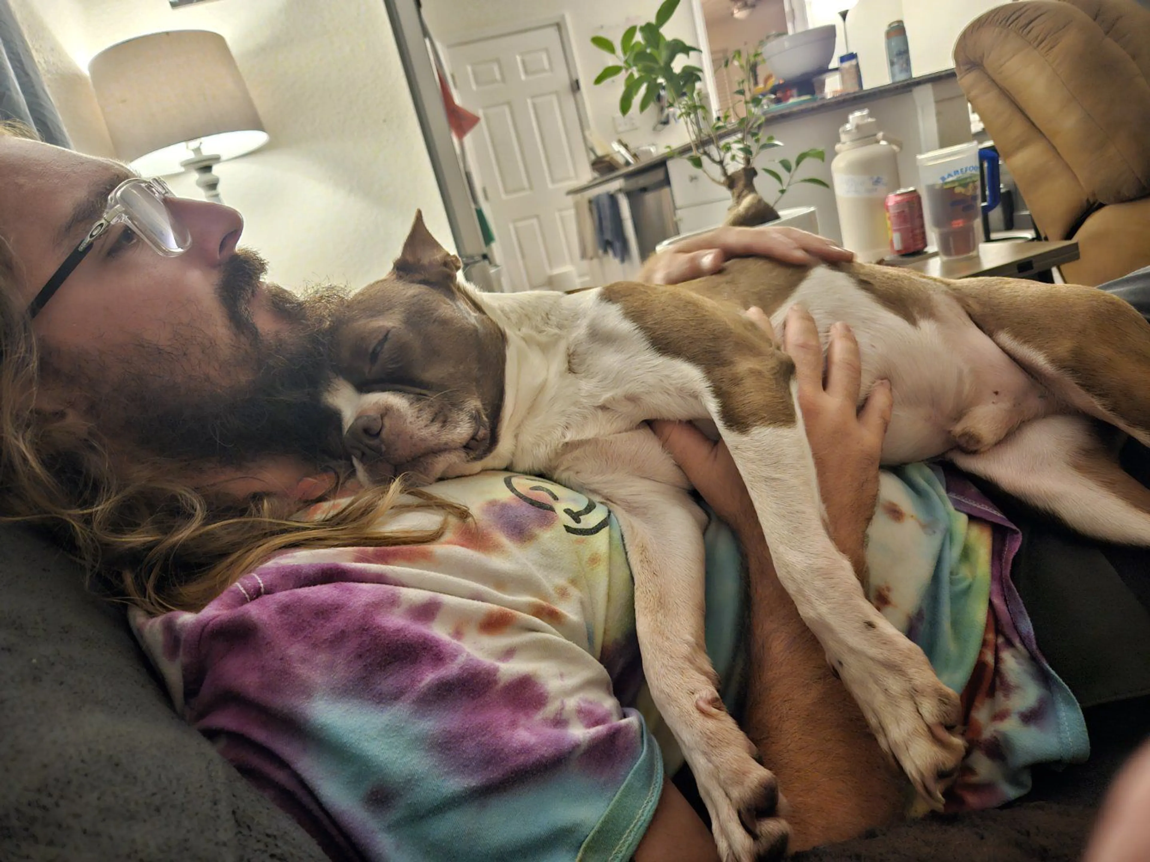 Lost pet