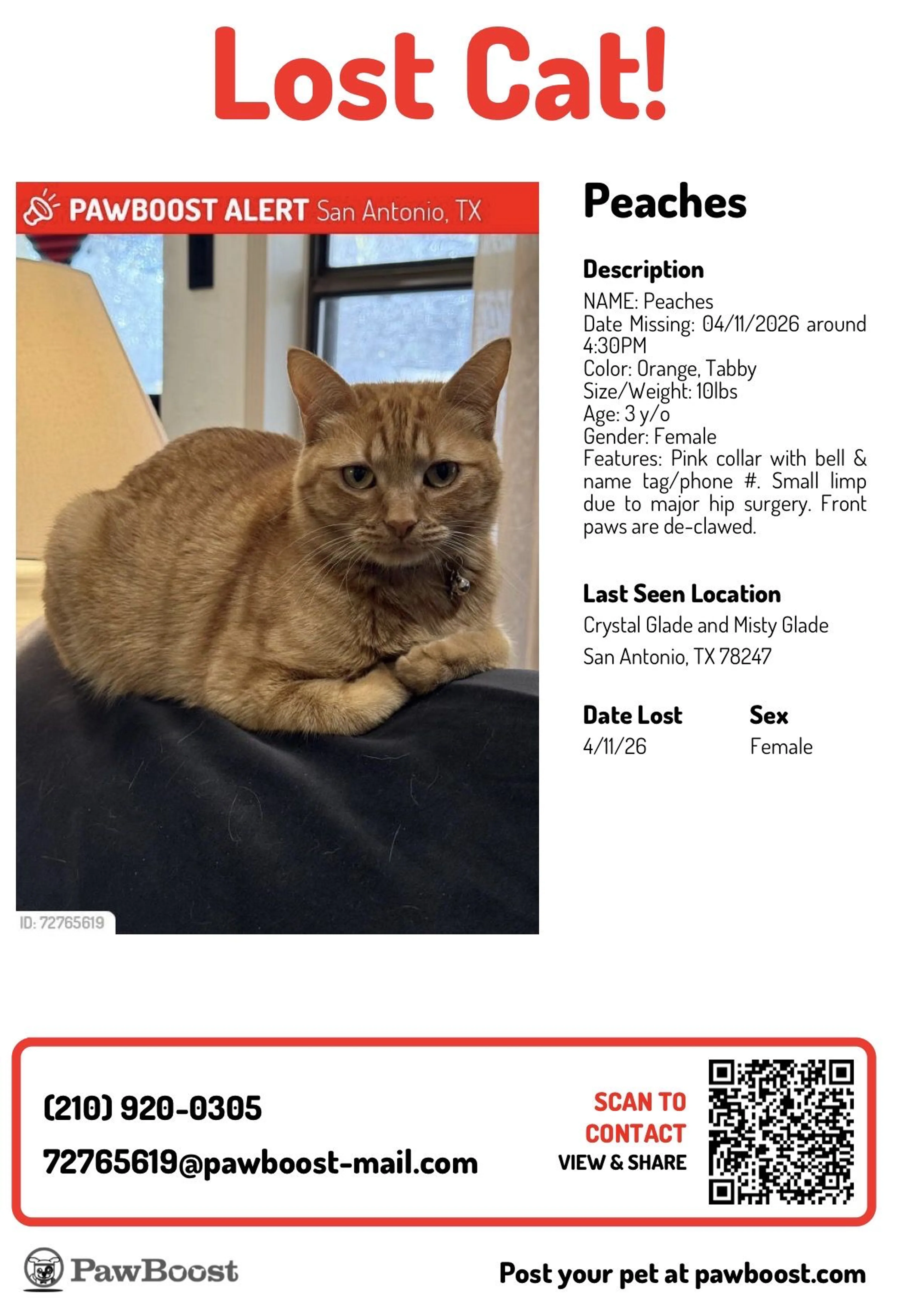 Lost pet